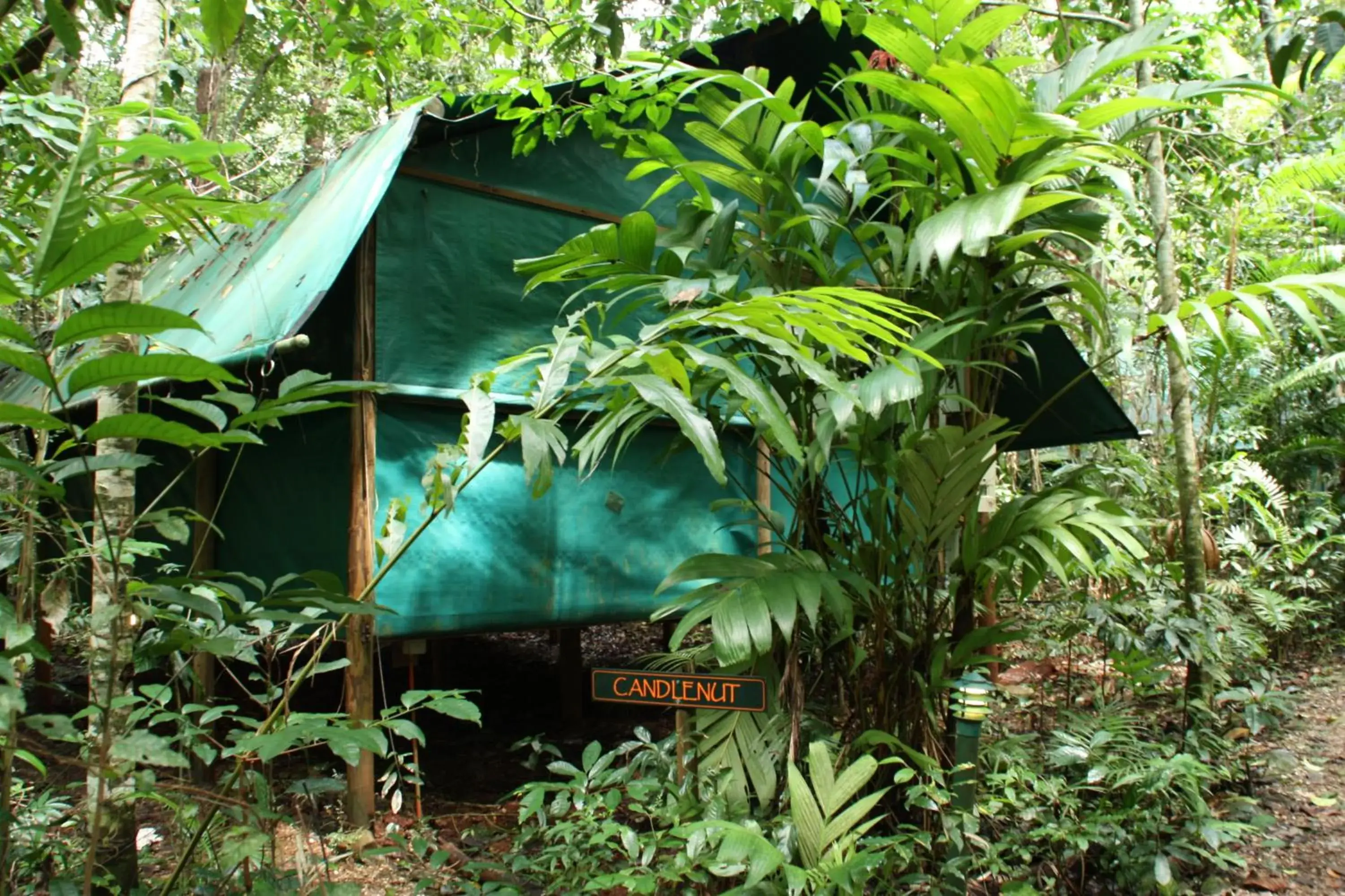 Tropical Cabin in Daintree Crocodylus Tropical Cabin in Daintree Crocodylus