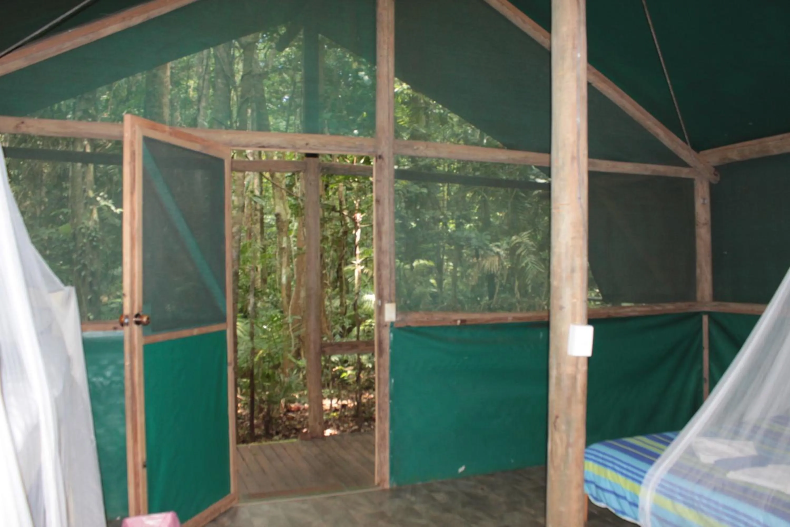 Living room in Daintree Crocodylus
