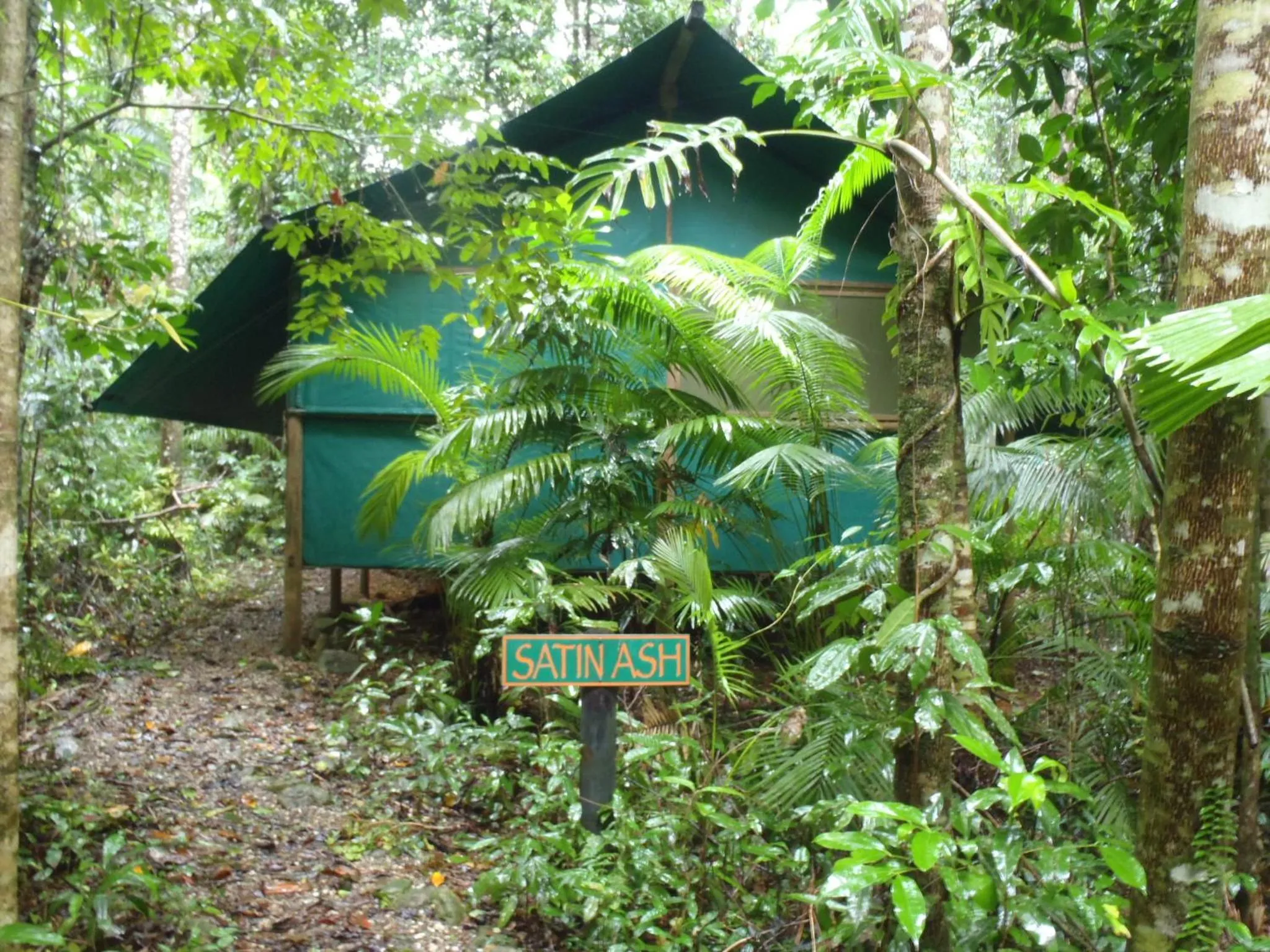 Facade/entrance in Daintree Crocodylus