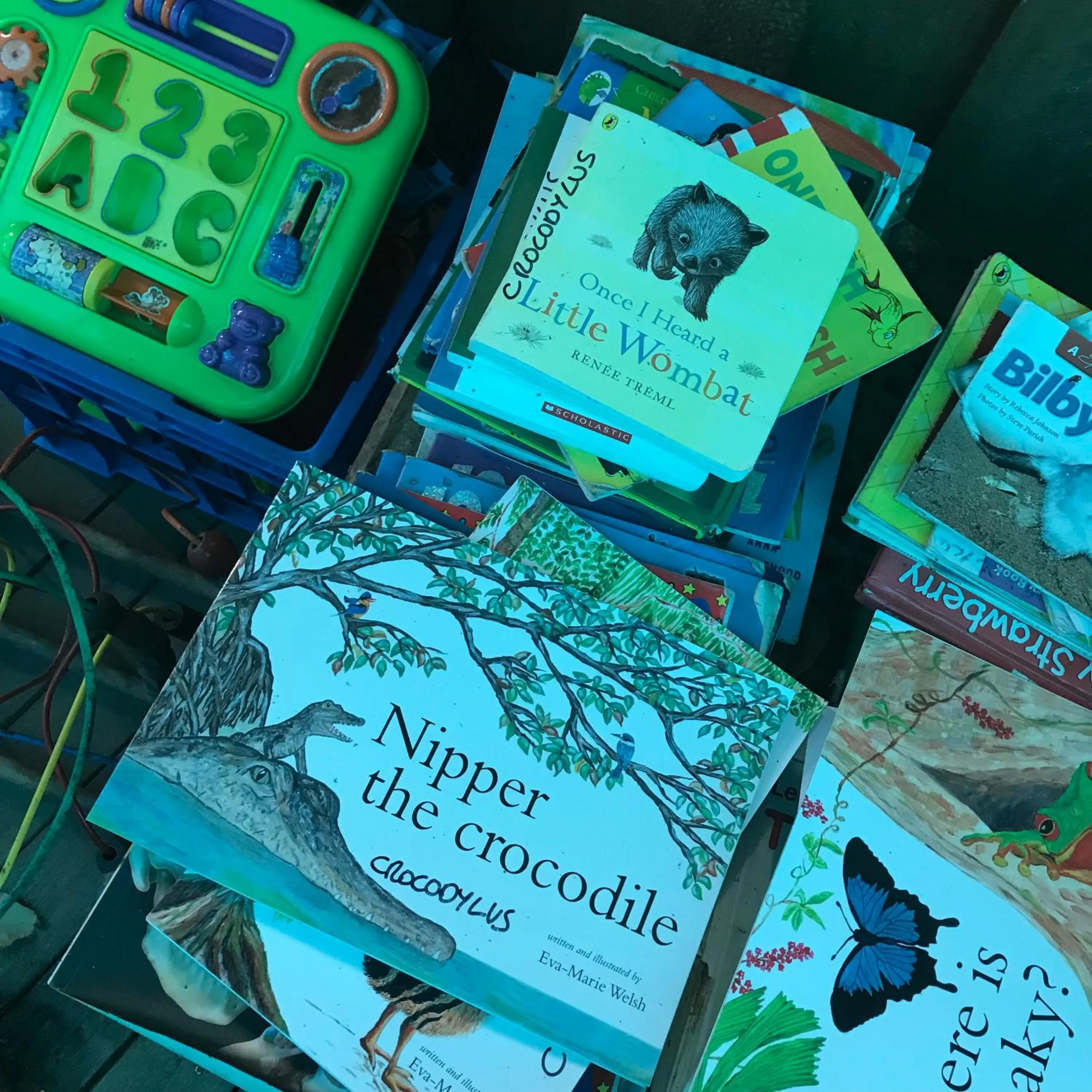 Communal lounge/ TV room in Daintree Crocodylus