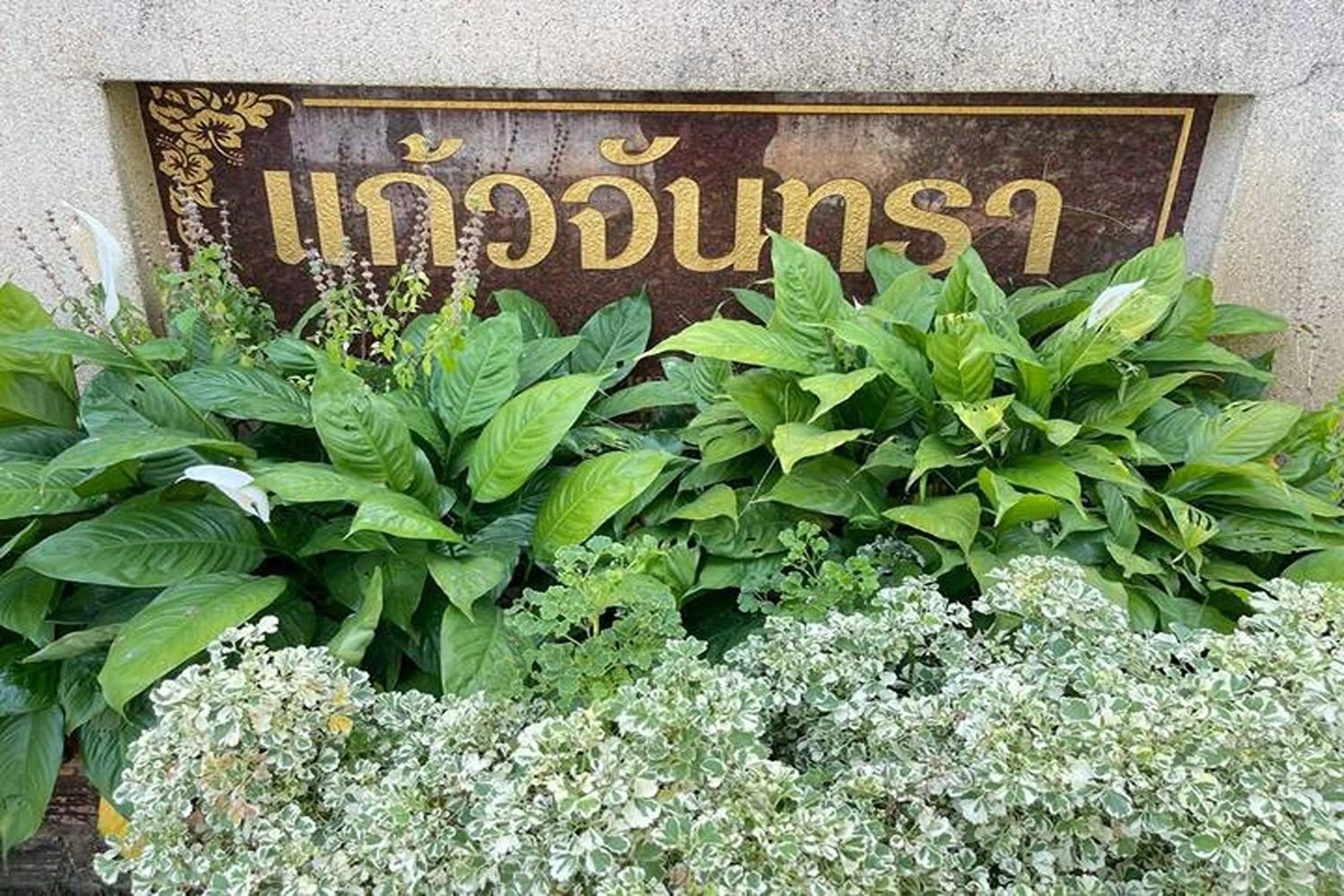 Property building in Kaewchantra Mansion