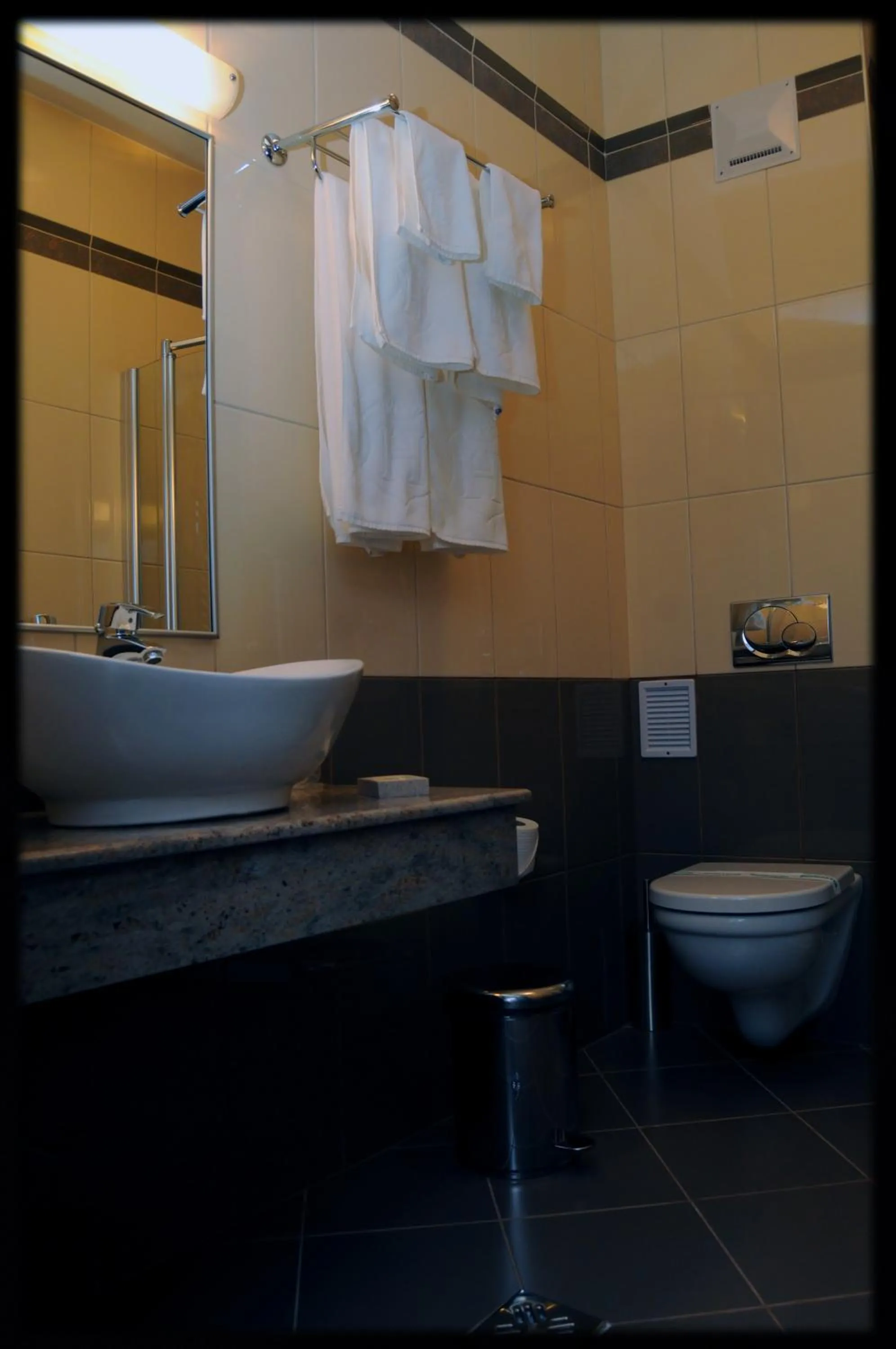 Bathroom in Hotel Diafan