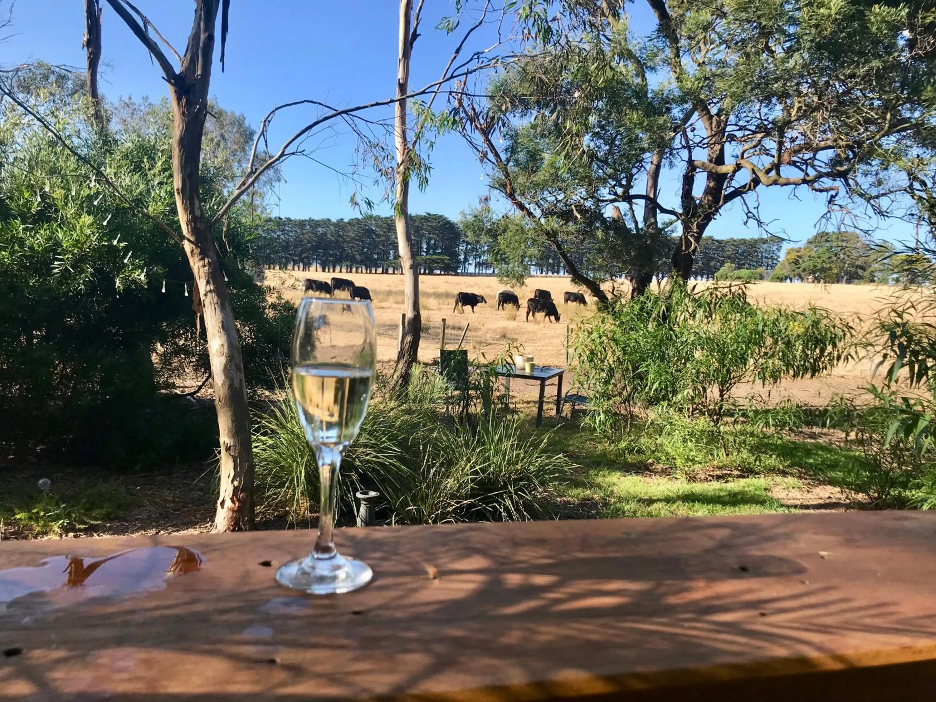 Day in The Nature Resort Villas Ramada Resort