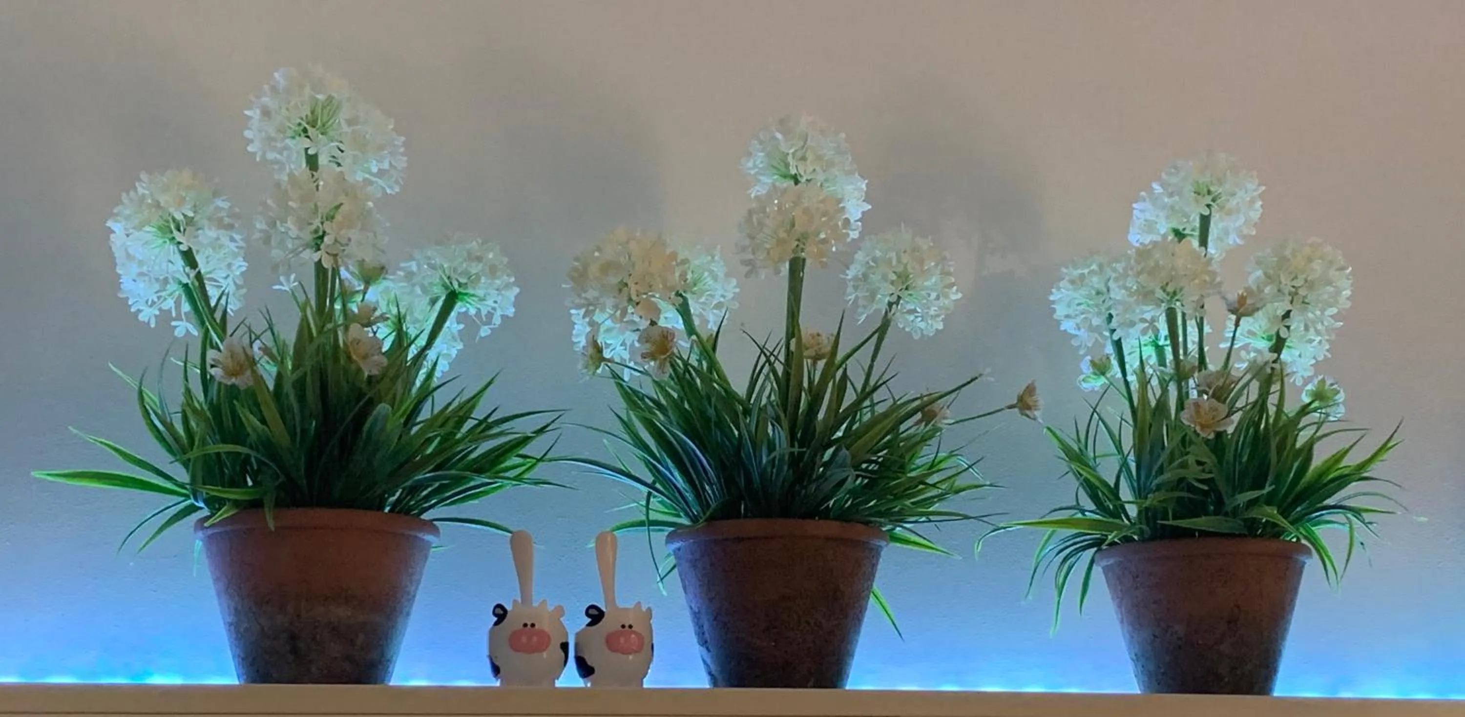 Decorative detail in The Nature Resort Villas Ramada Resort