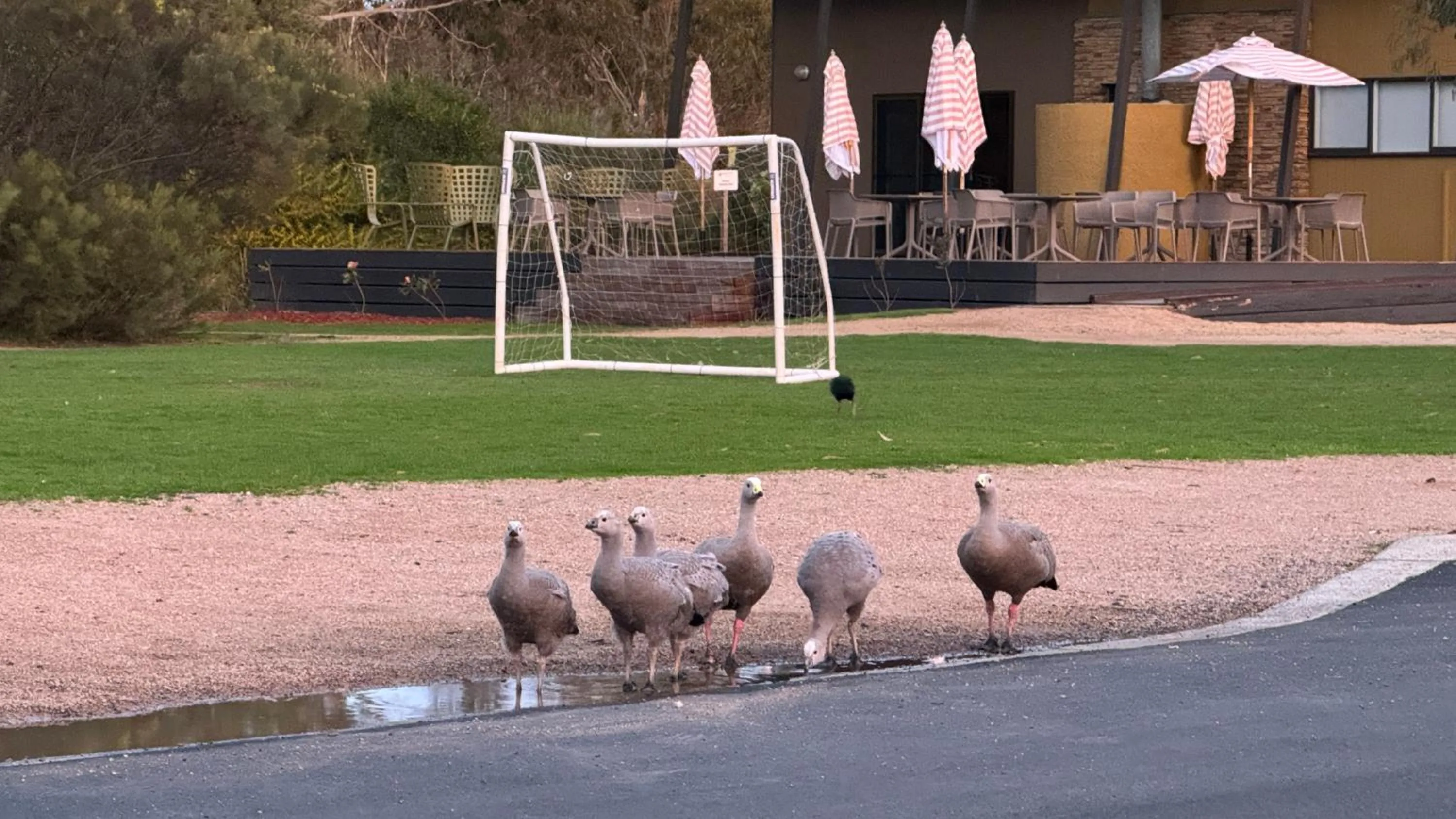 Quiet street view in The Nature Resort Villas Ramada Resort