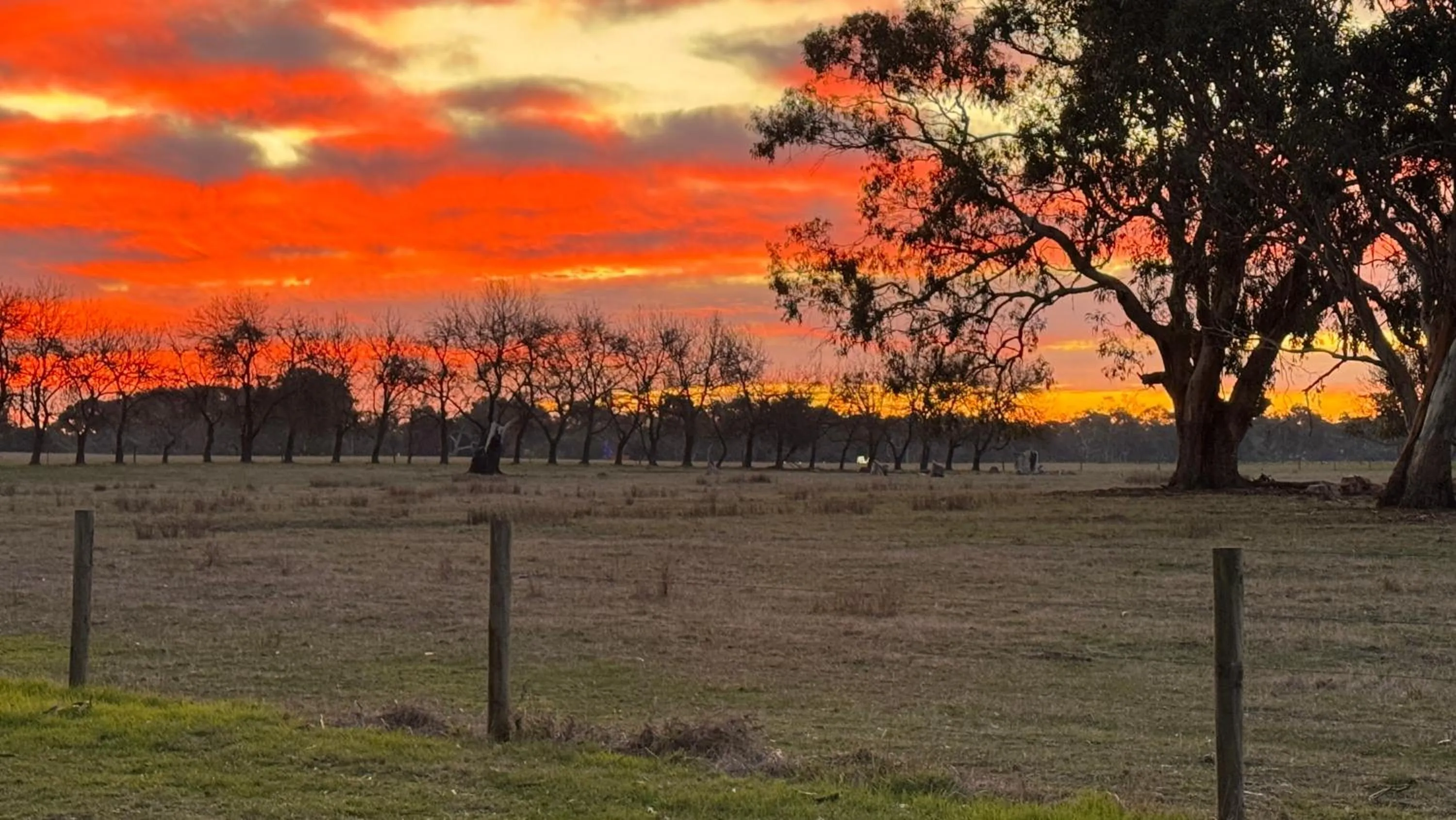 View (from property/room) in The Nature Resort Villas Ramada Resort