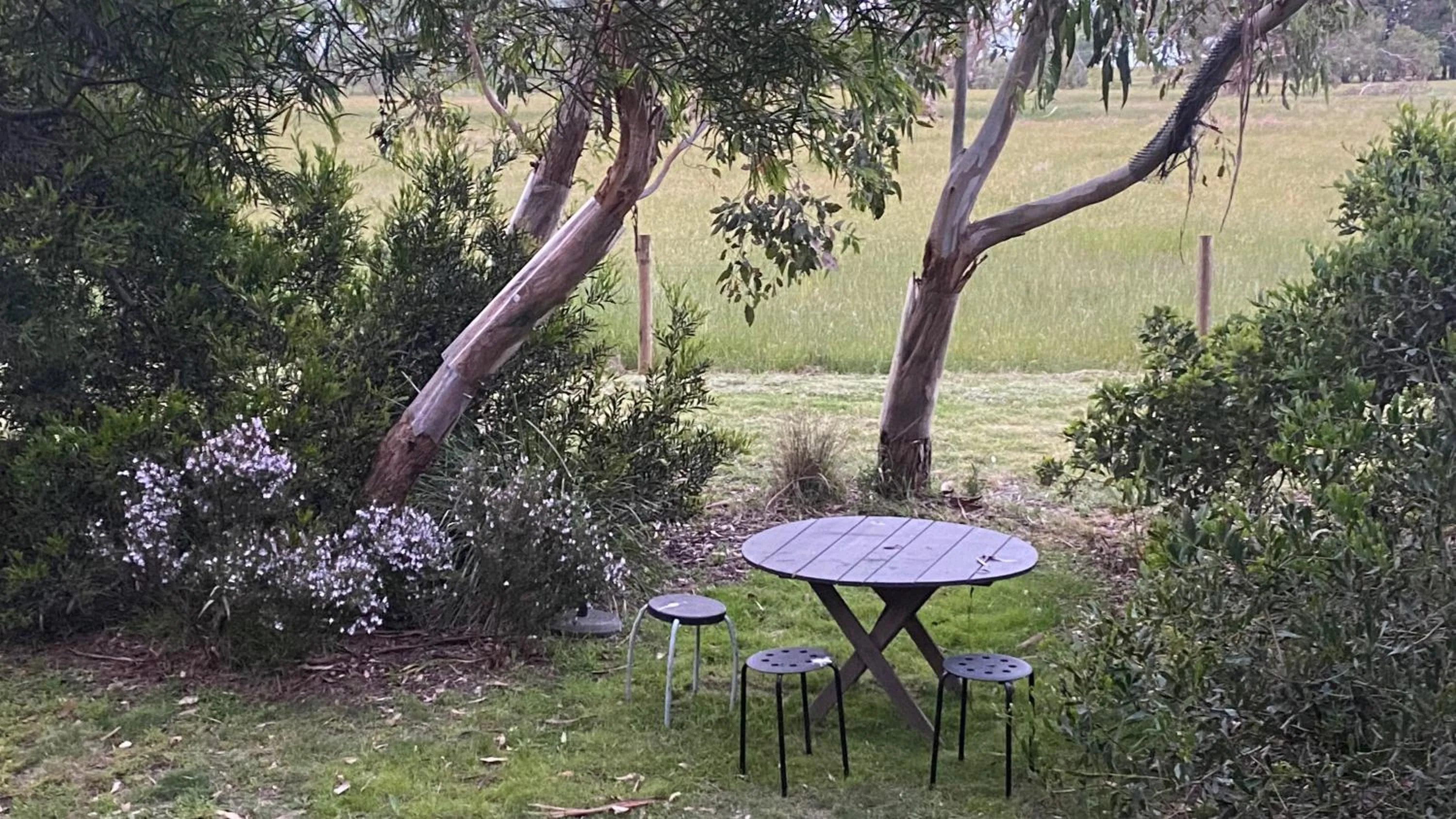 Natural landscape in The Nature Resort Villas Ramada Resort