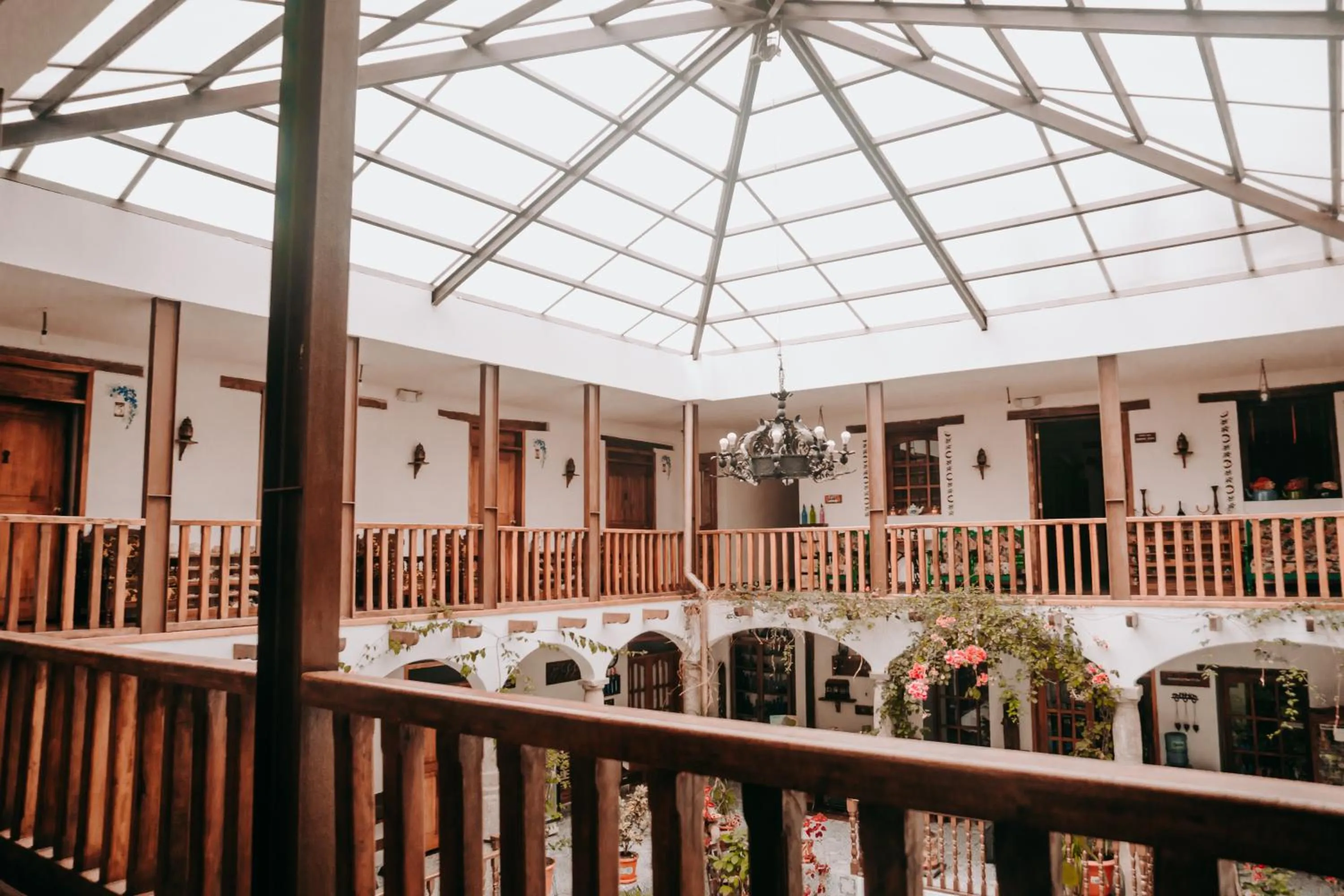 Garden in Hotel Casa Alquimia