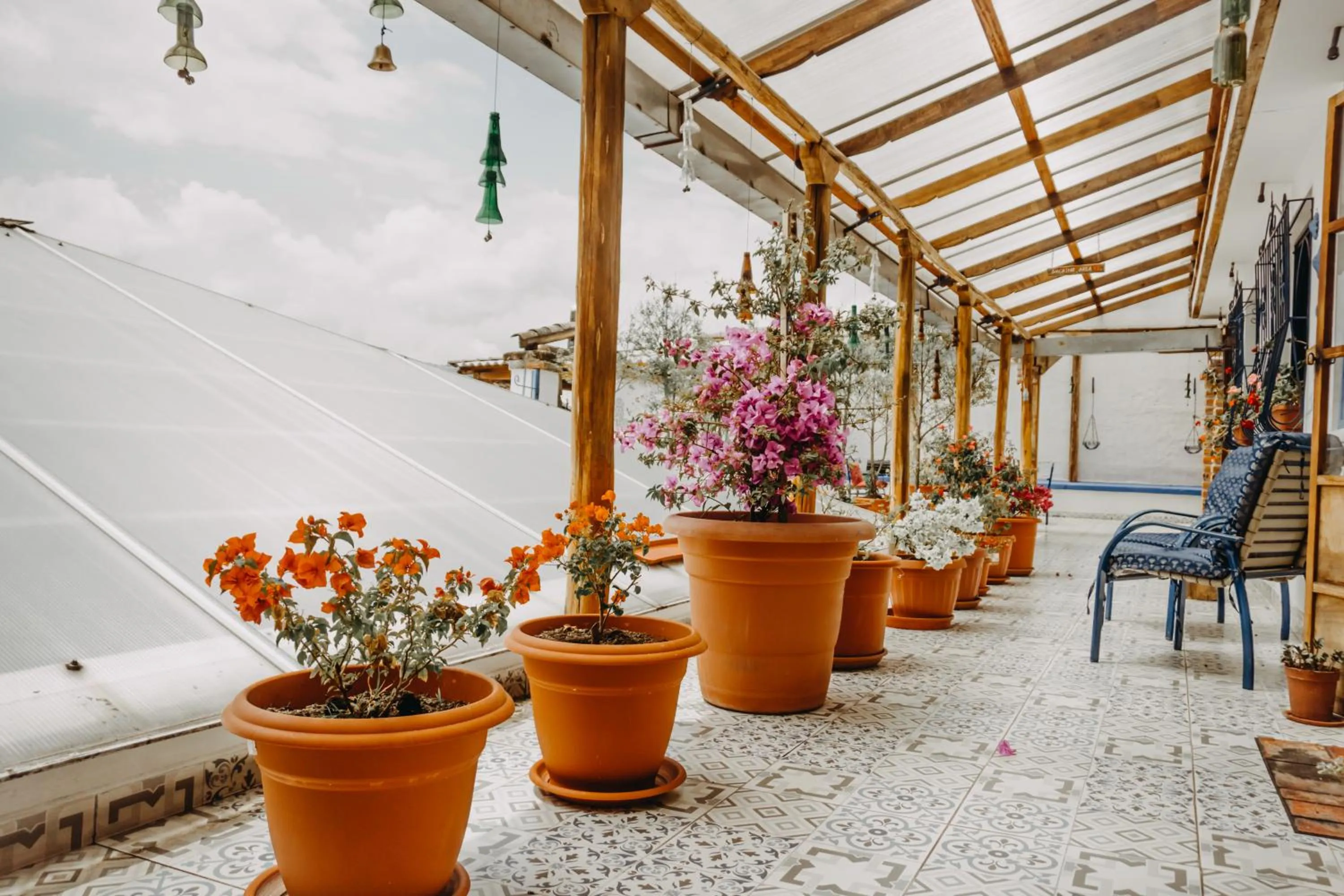 Patio in Hotel Casa Alquimia