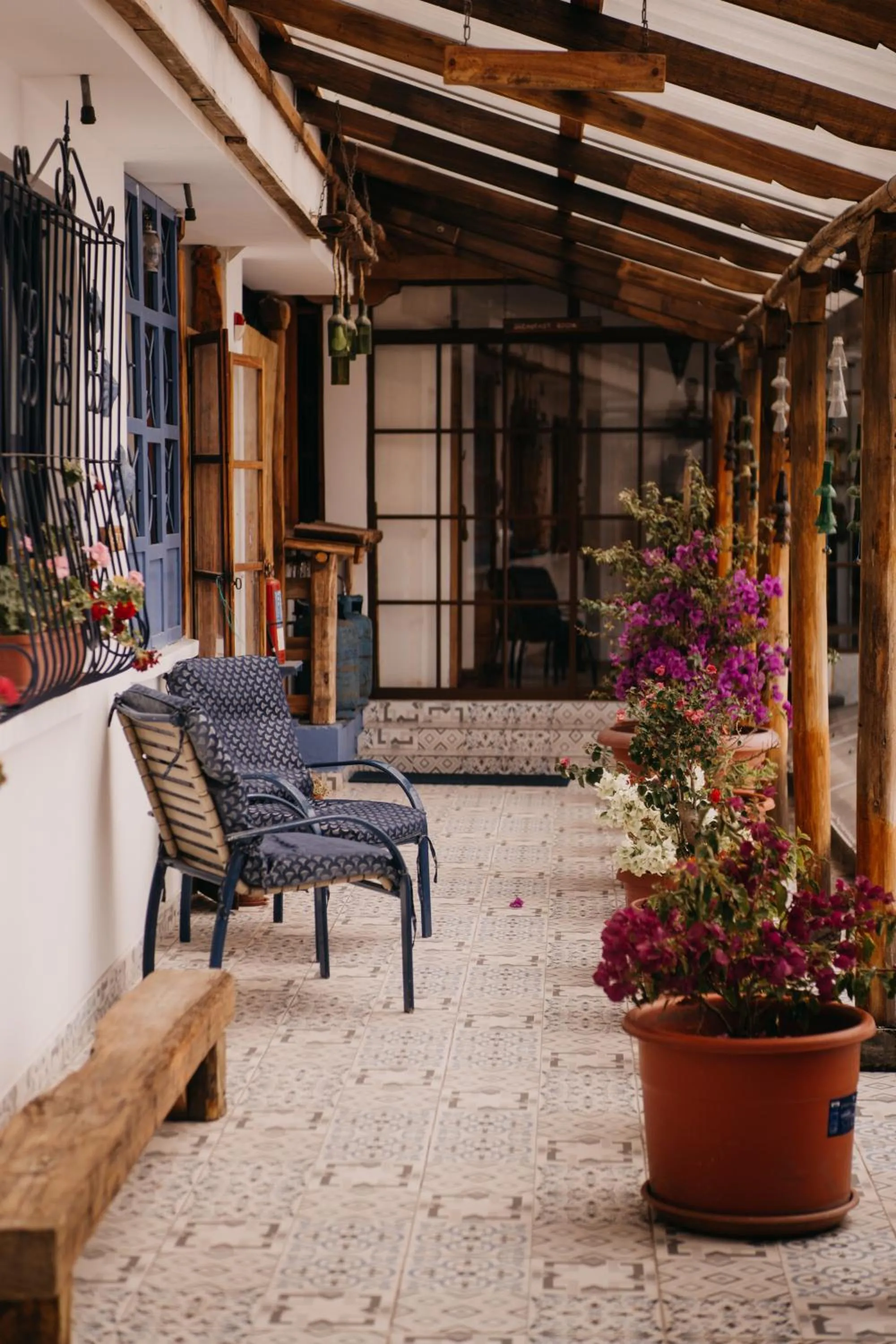 Property building in Hotel Casa Alquimia