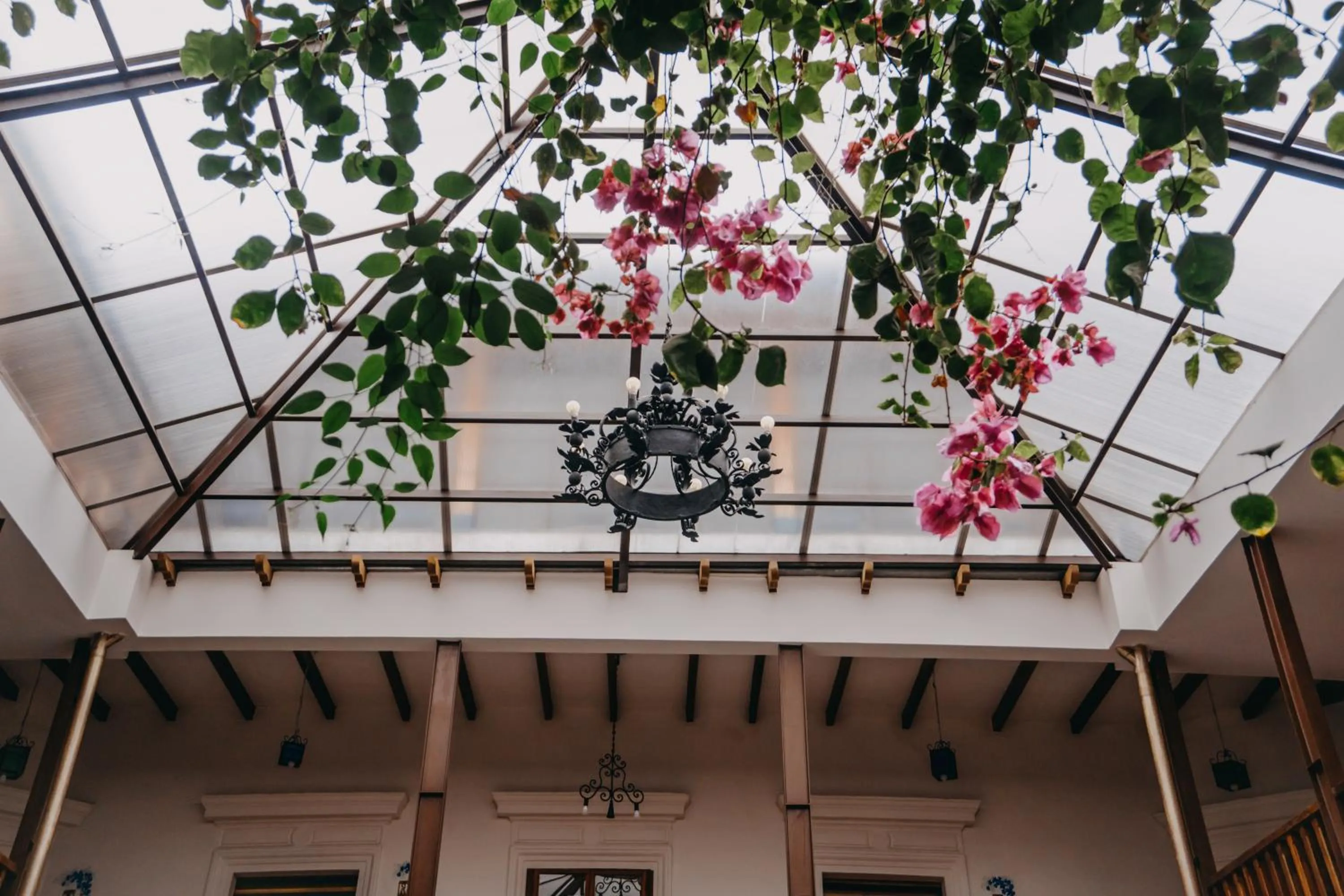 Day in Hotel Casa Alquimia