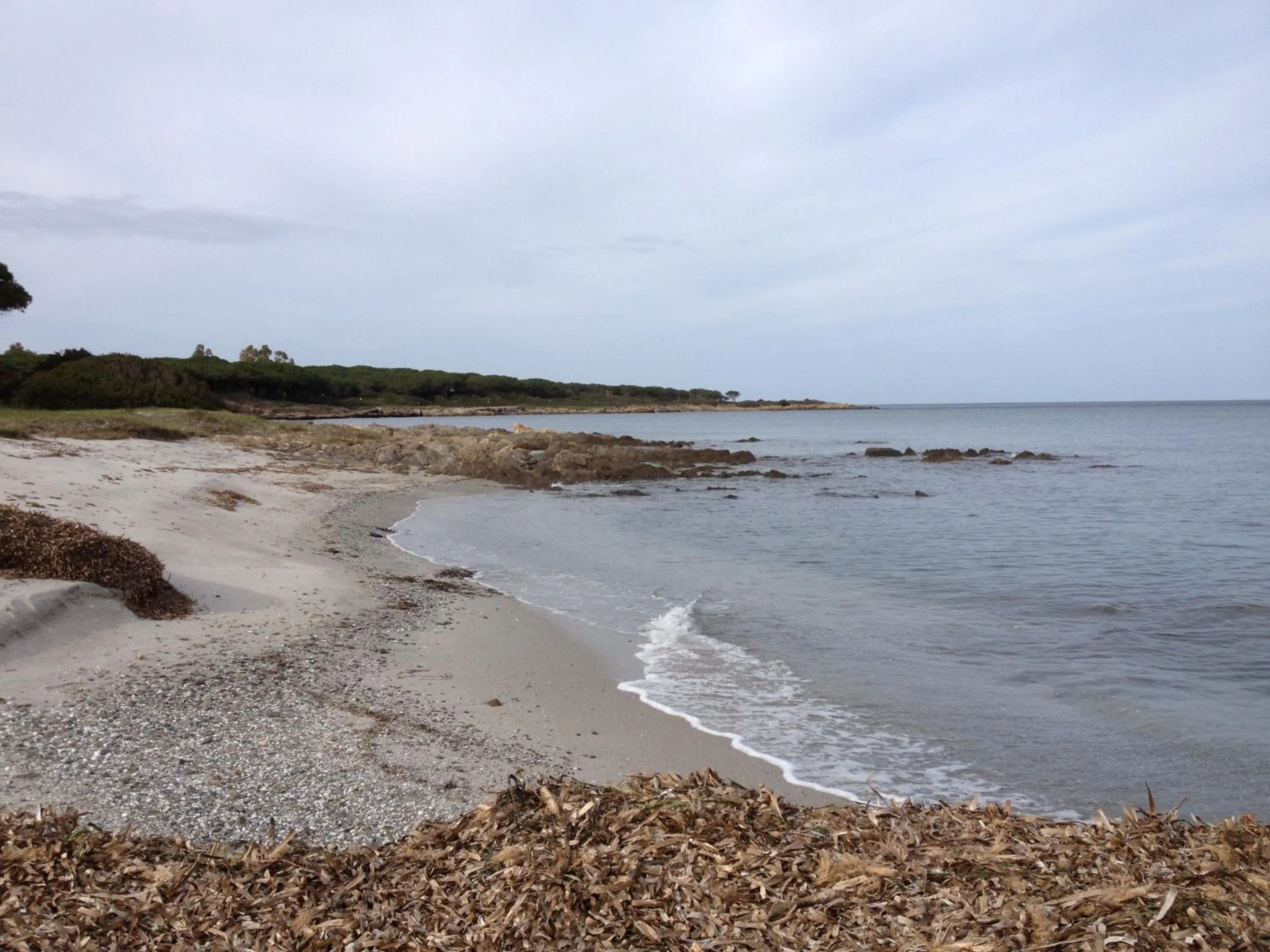 Beach in Residence La Pineta