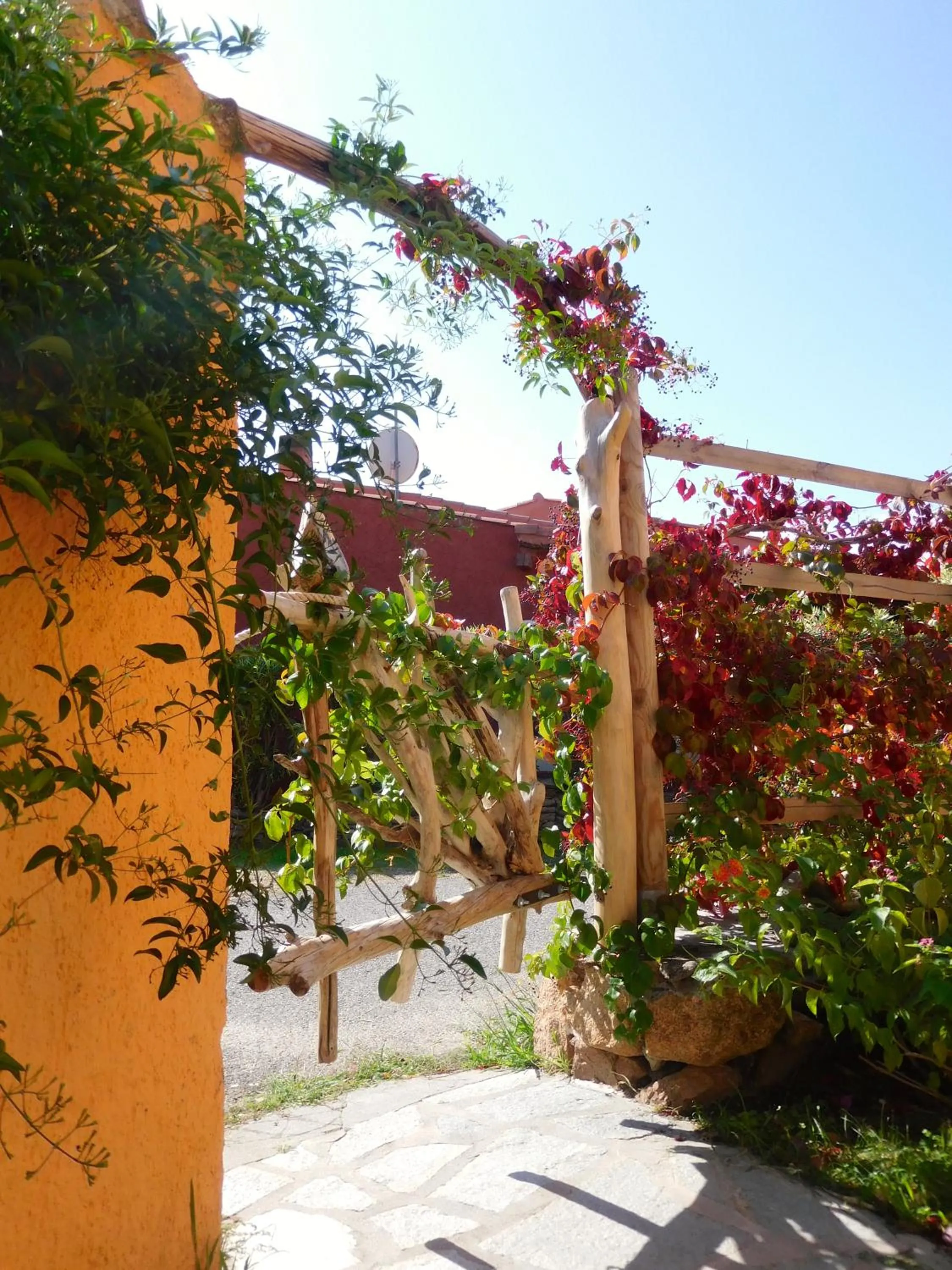 Area and facilities in Residence La Pineta