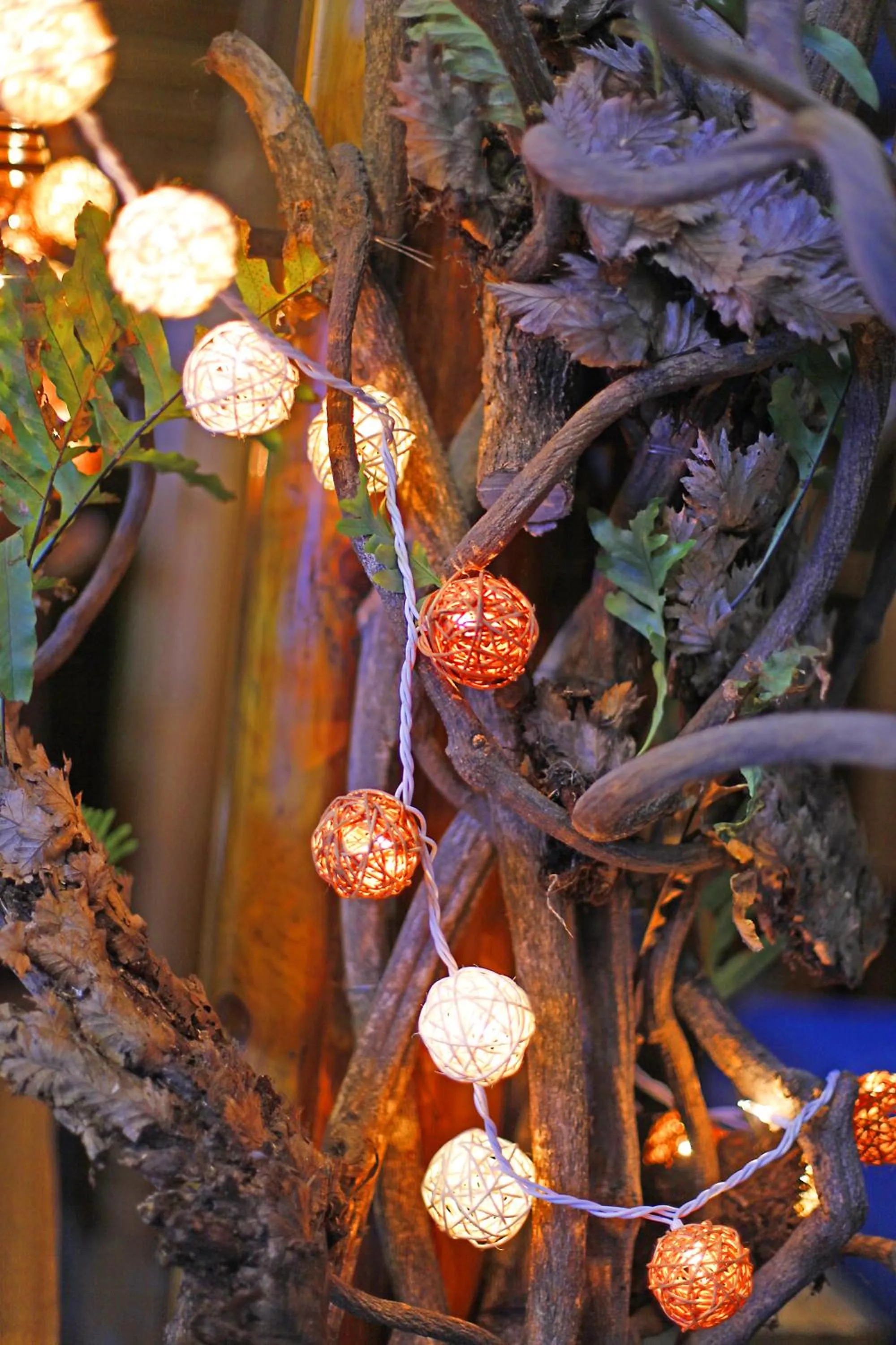 Night in Guihua Road 106th Hostel