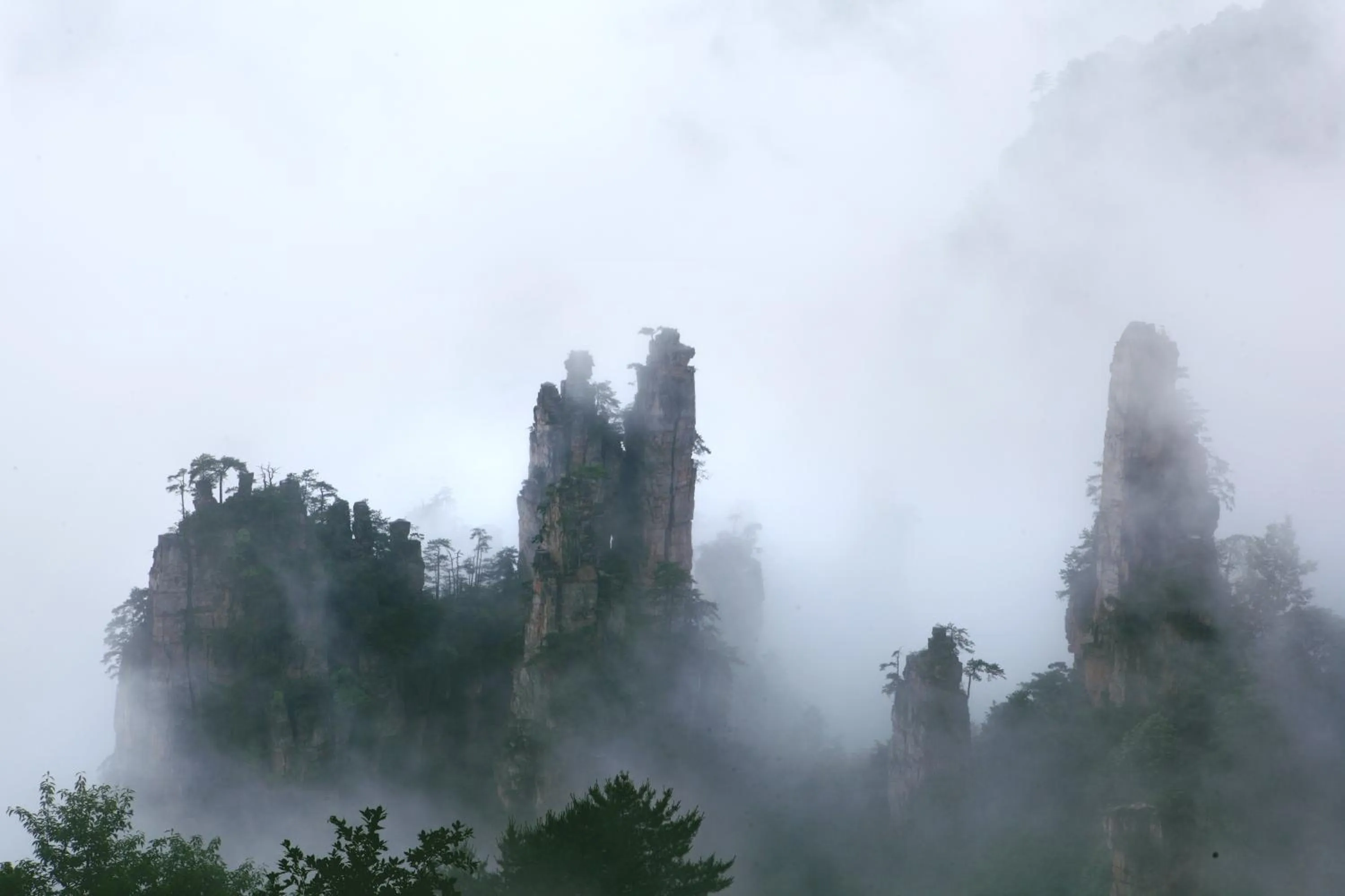 Spring in Guihua Road 106th Hostel