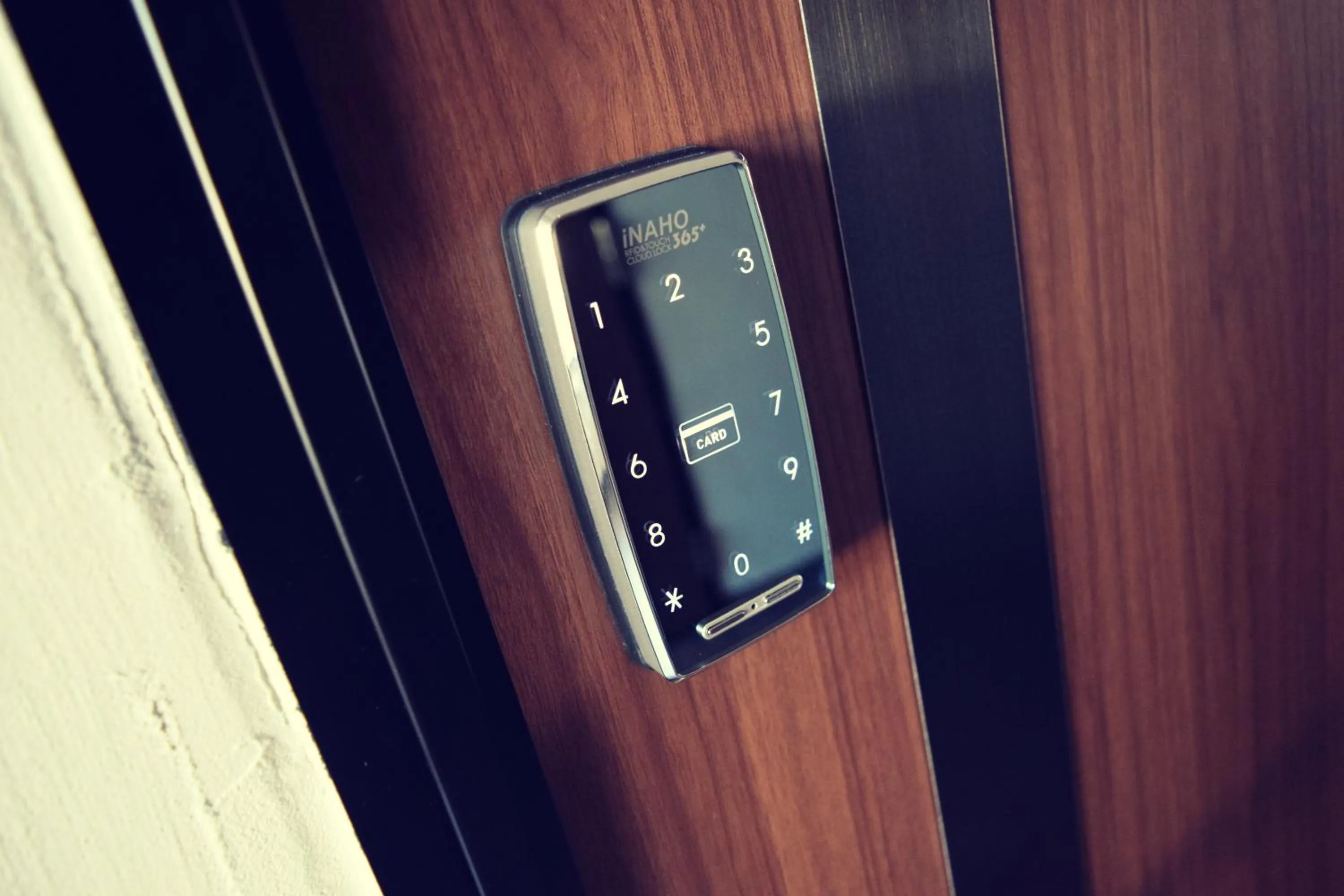 Photo of the whole room in Hotel 385