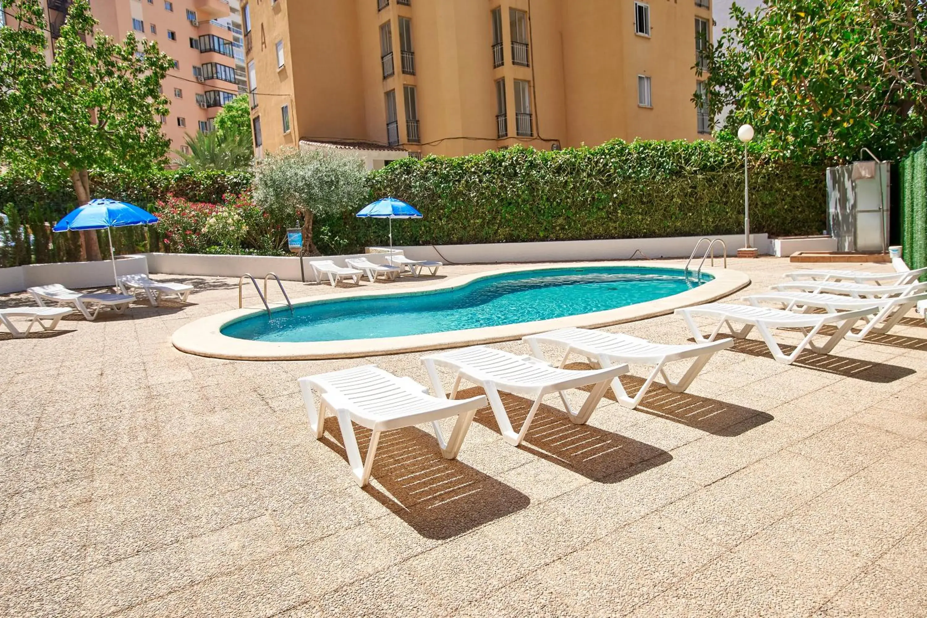 Don Gregorio-Fincas Benidorm Don Gregorio-Fincas Benidorm