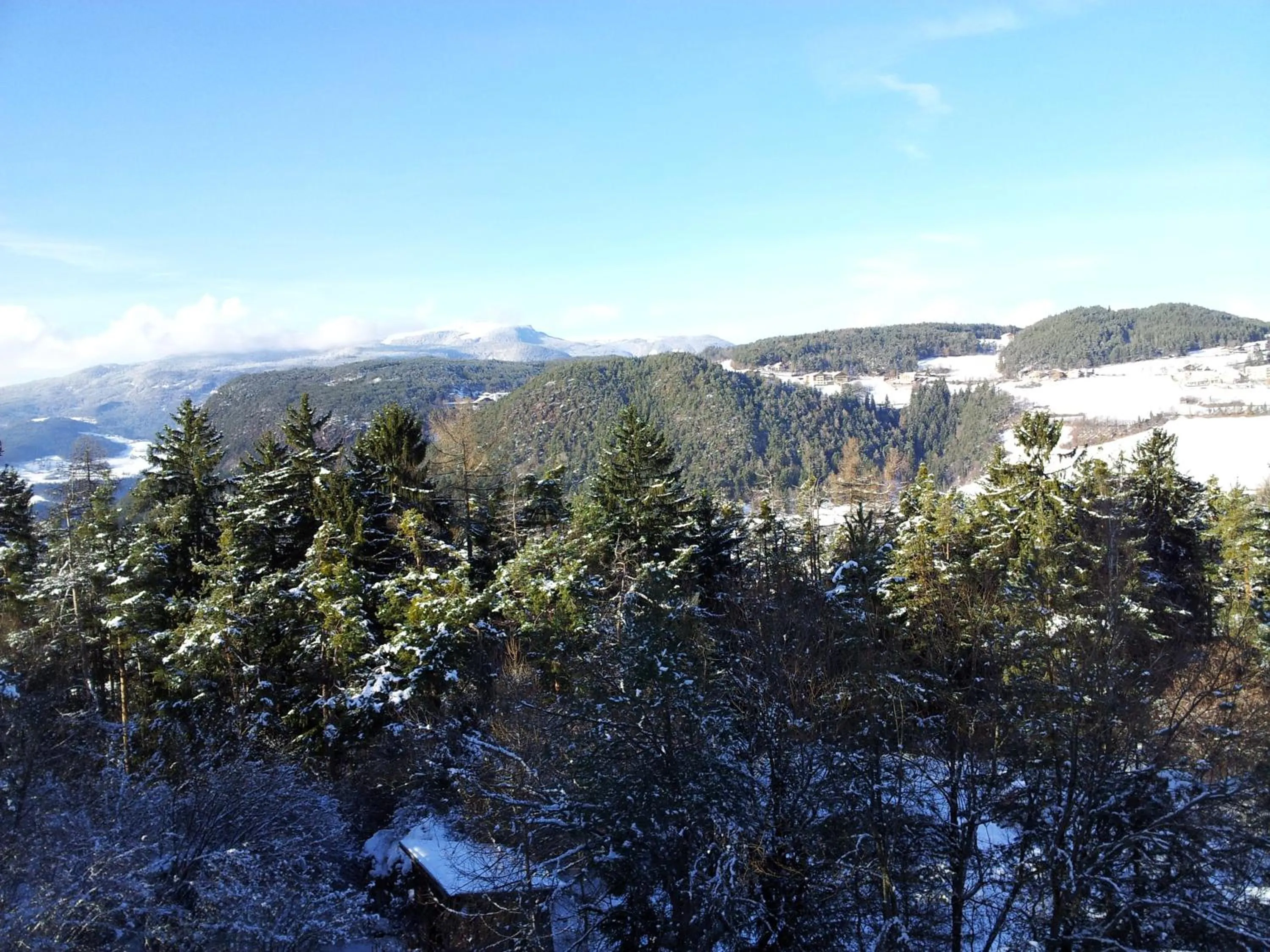 Natural landscape in Hotel Salegg