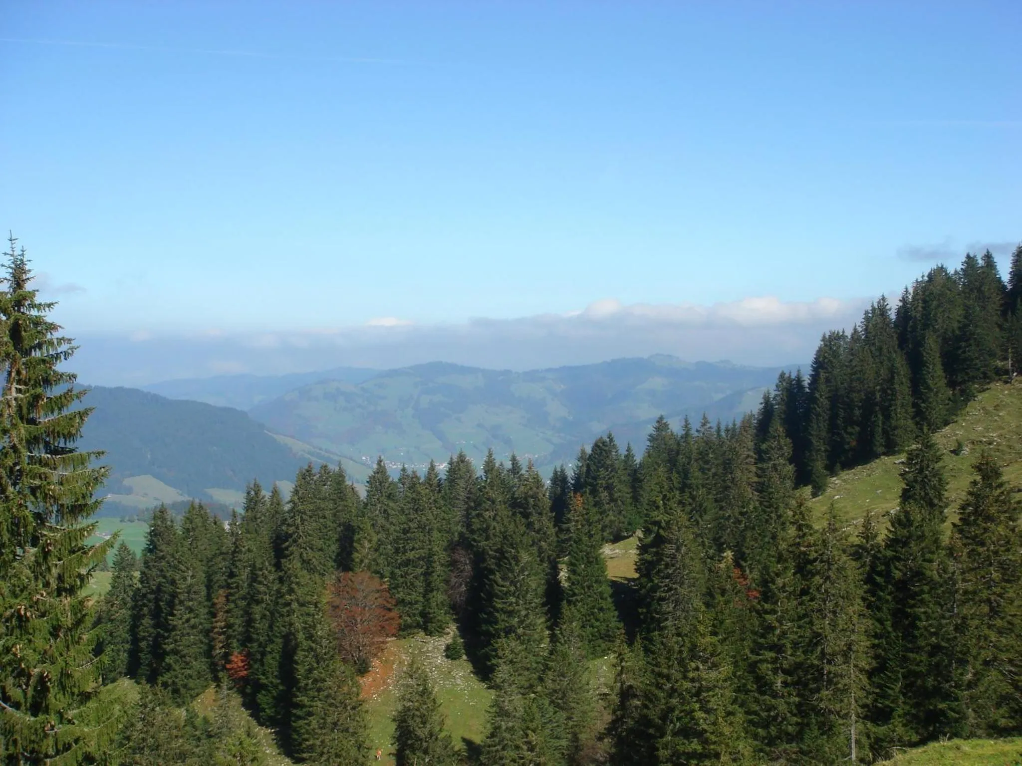 Off site in Minster Hotel