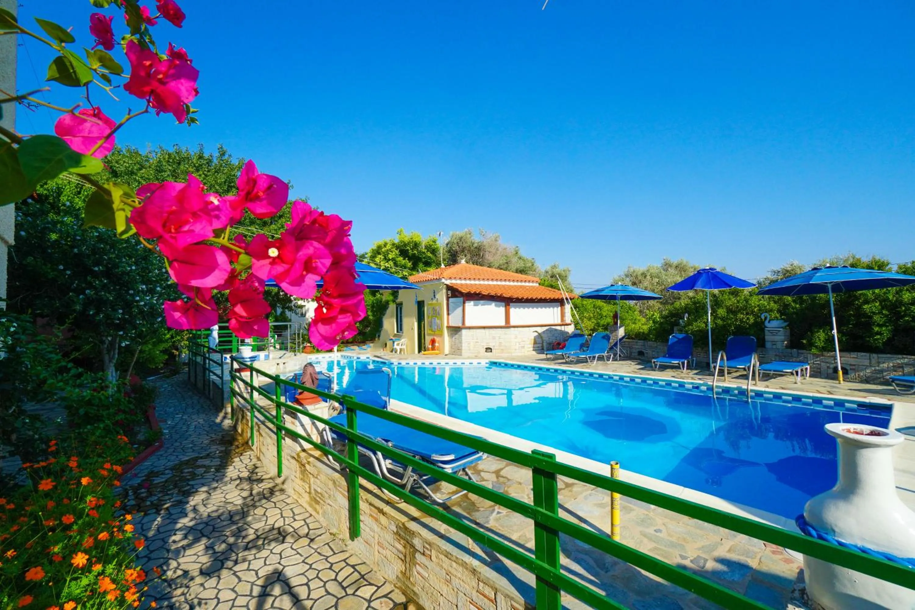 Property building in Albatross