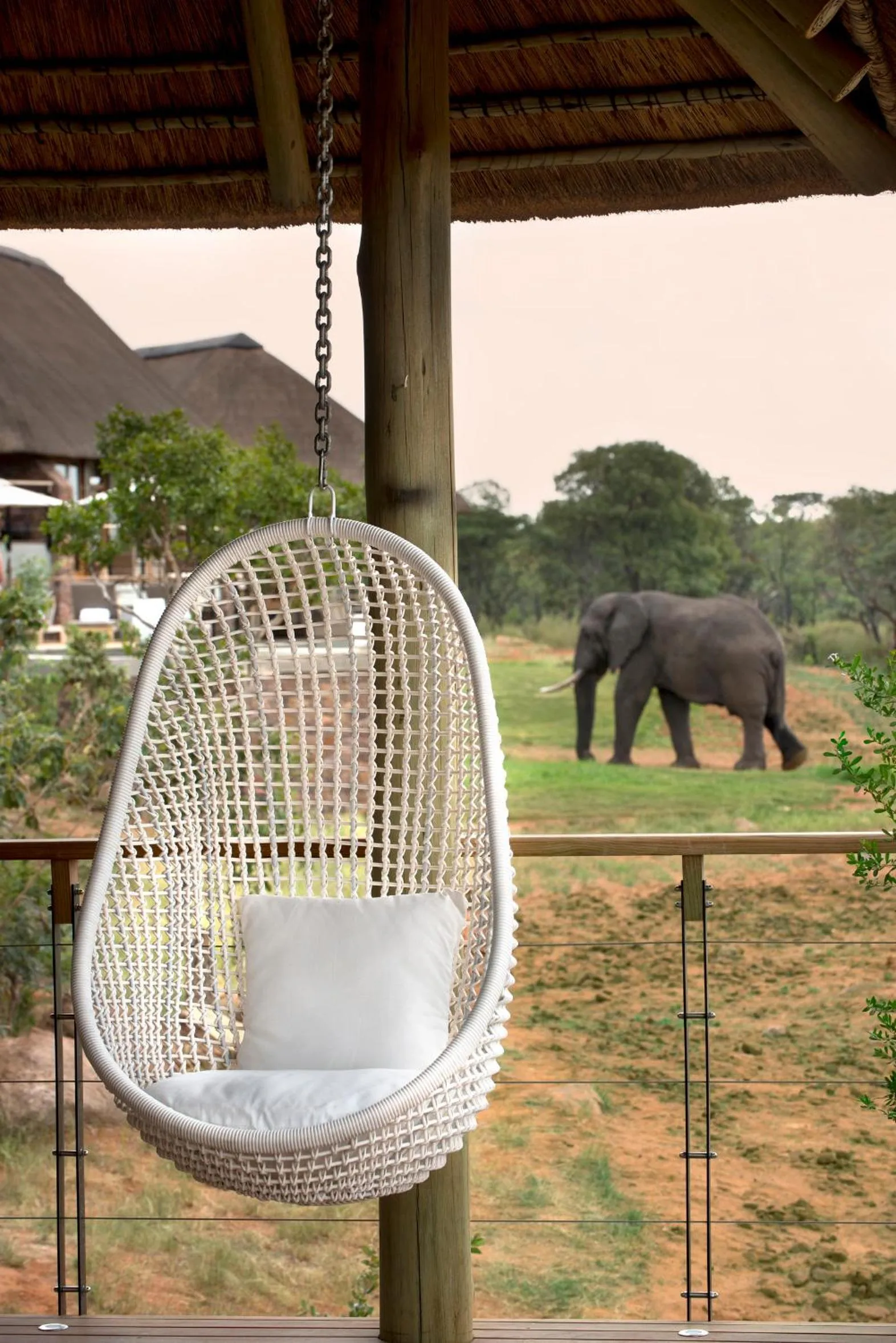 Day in MHONDORO SAFARI LODGE & VILLA