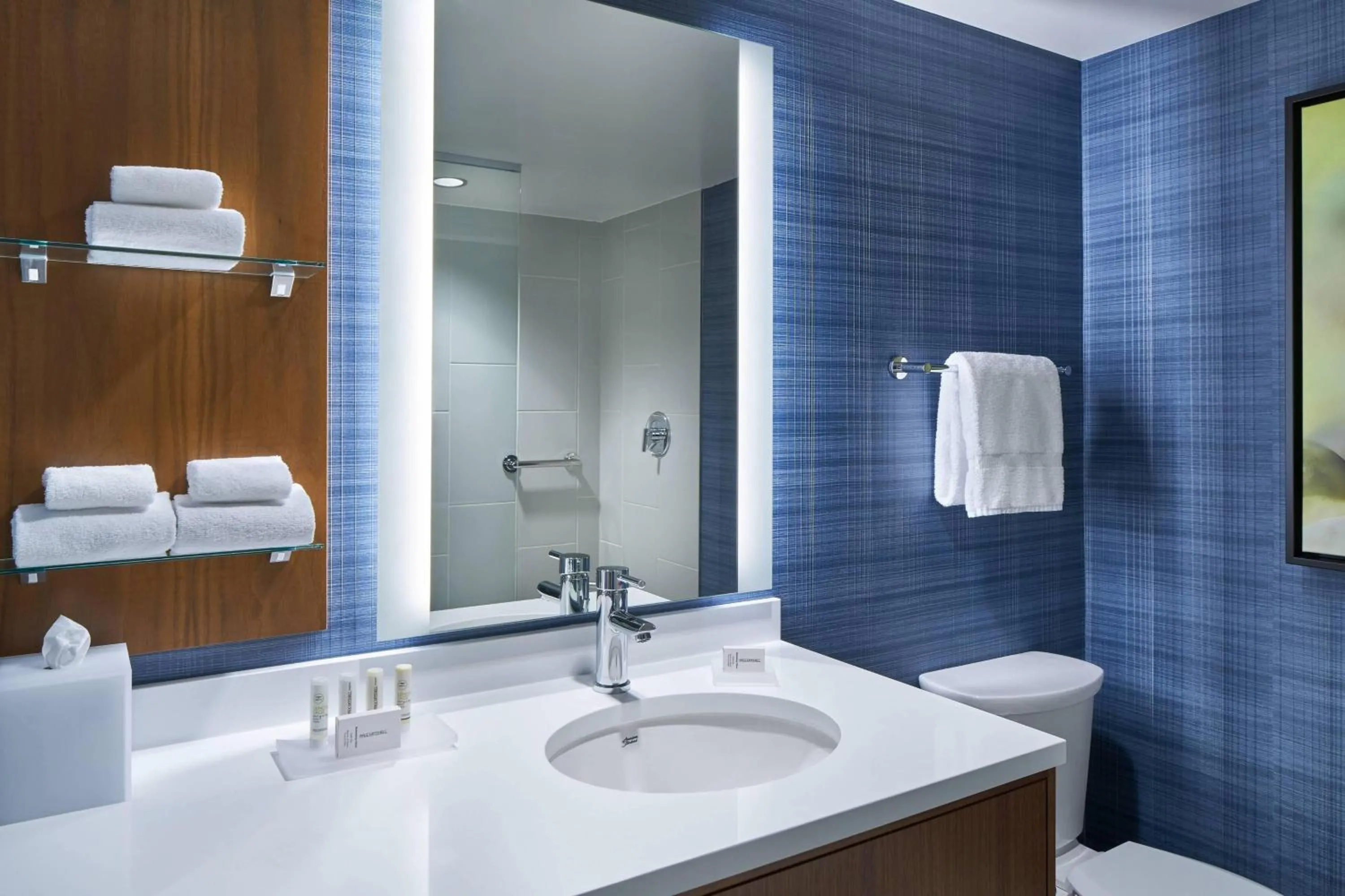 Bathroom in Residence Inn by Marriott Washington Downtown/Convention Center