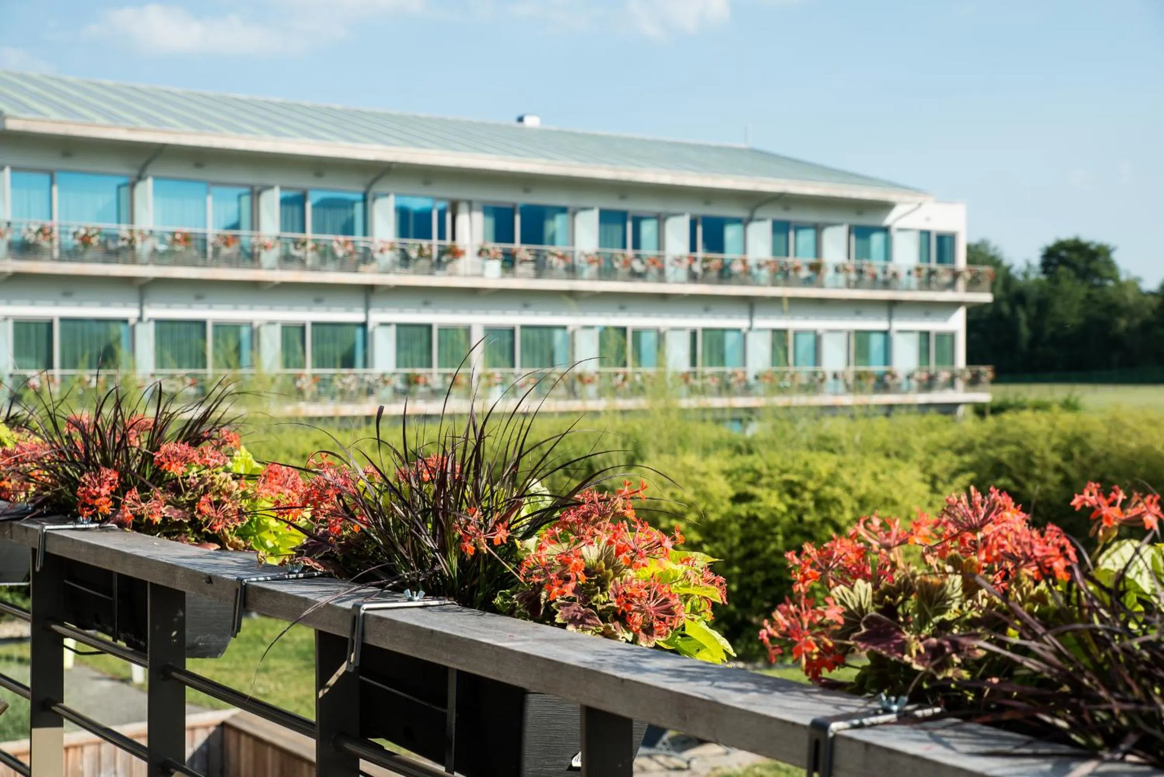Property building in Hôtel Barrière Ribeauvillé