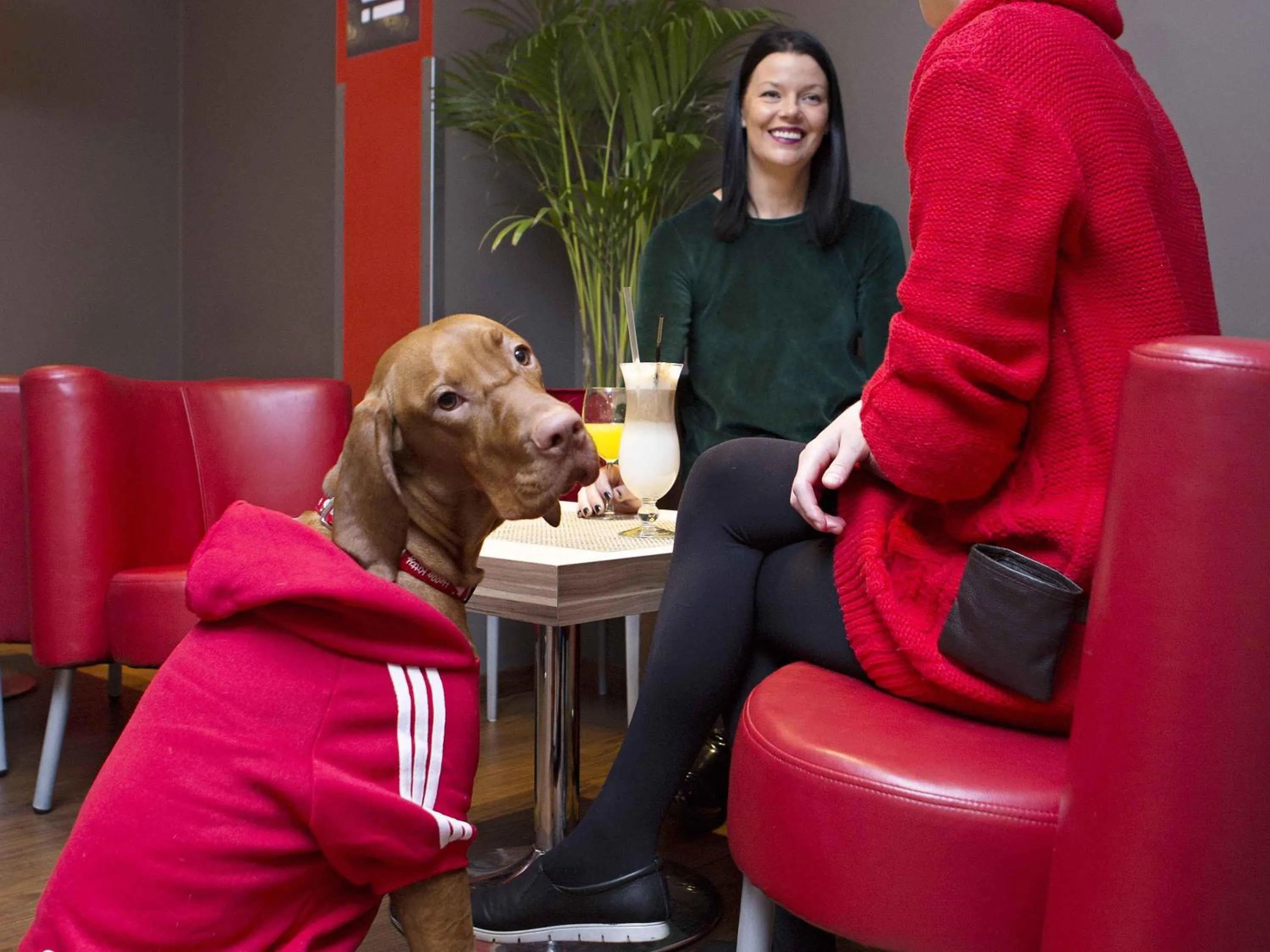 Restaurant/places to eat in Ibis Kaunas Centre