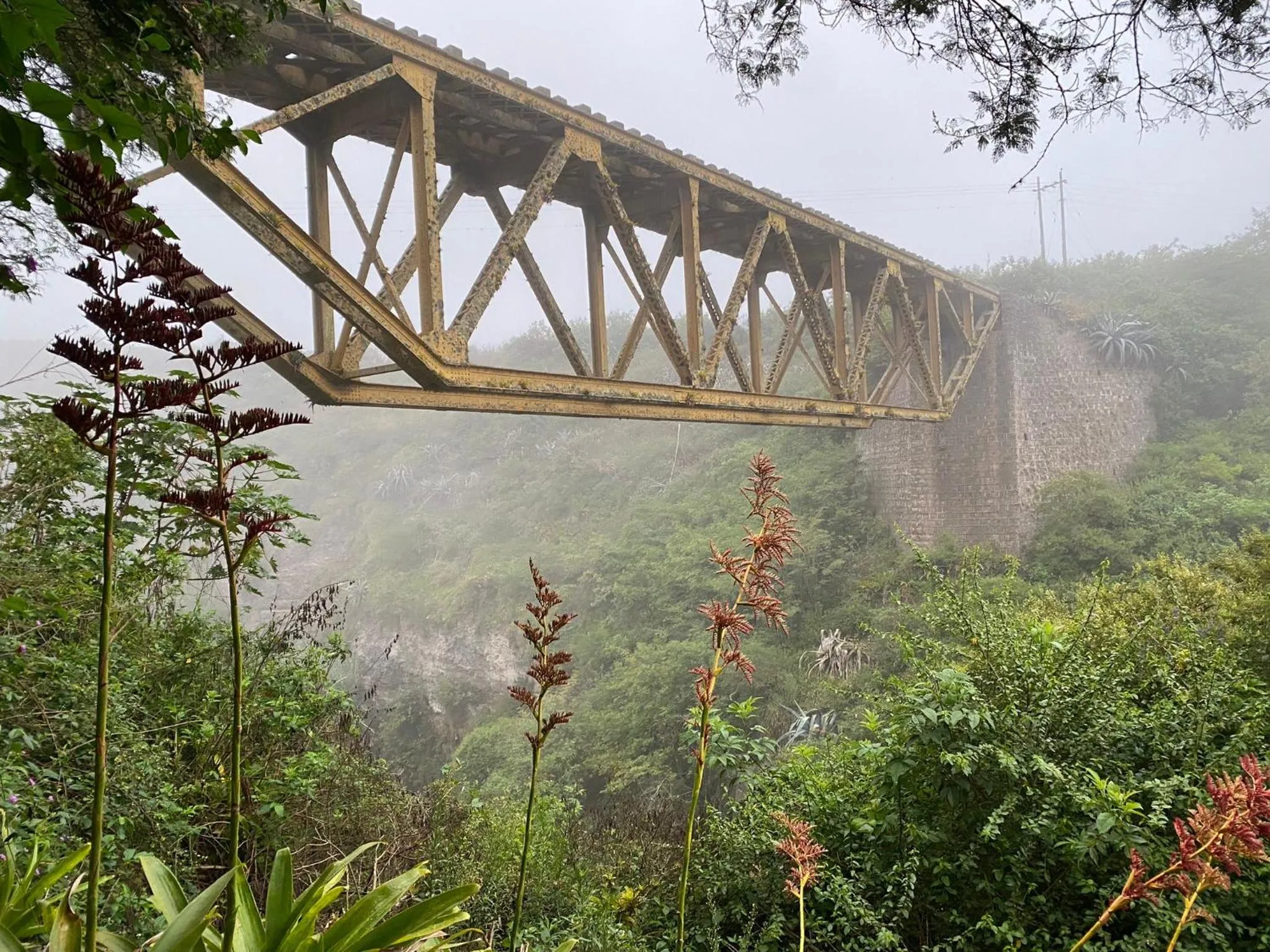 View (from property/room) in Hosteria Cananvalle