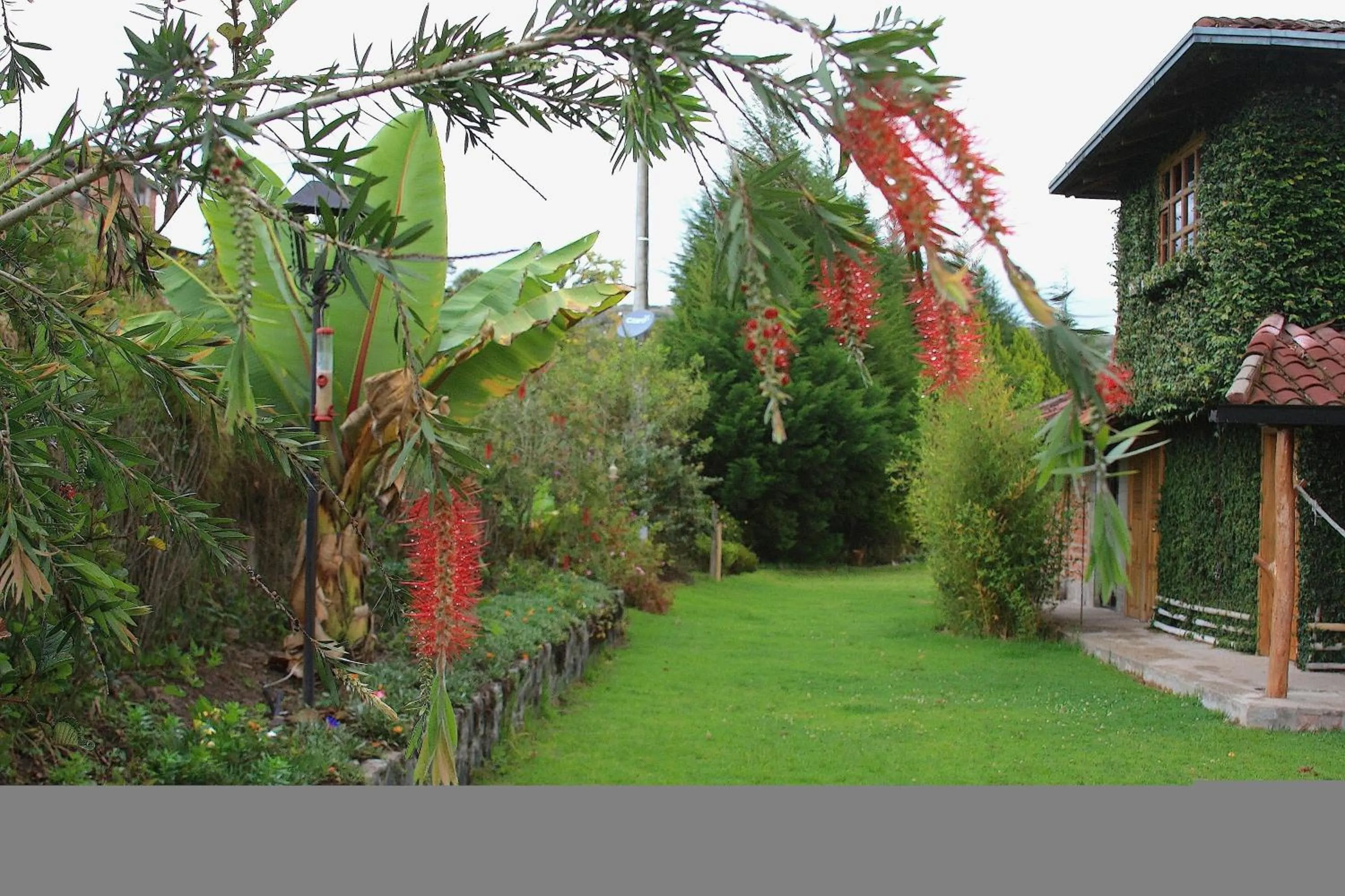 Garden in Hosteria Cananvalle