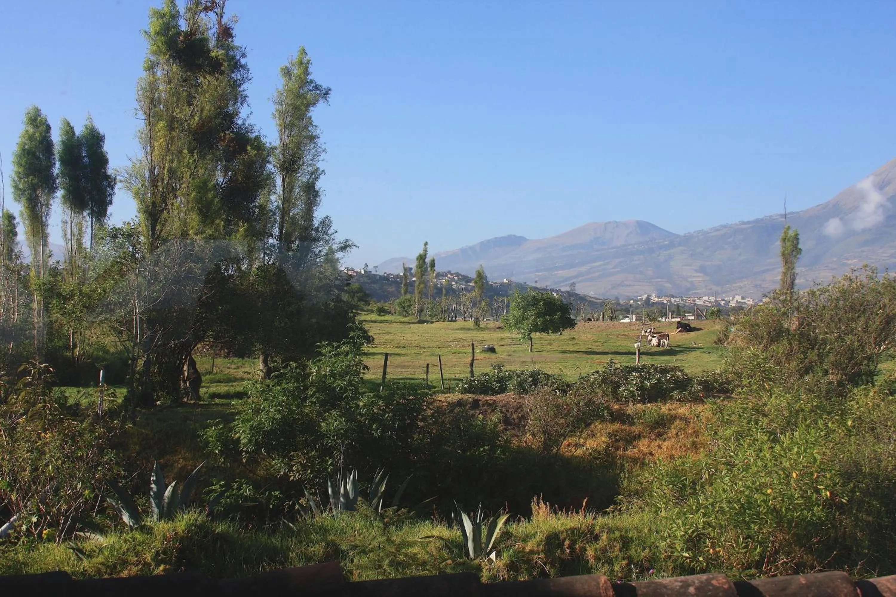 Day in Hosteria Cananvalle