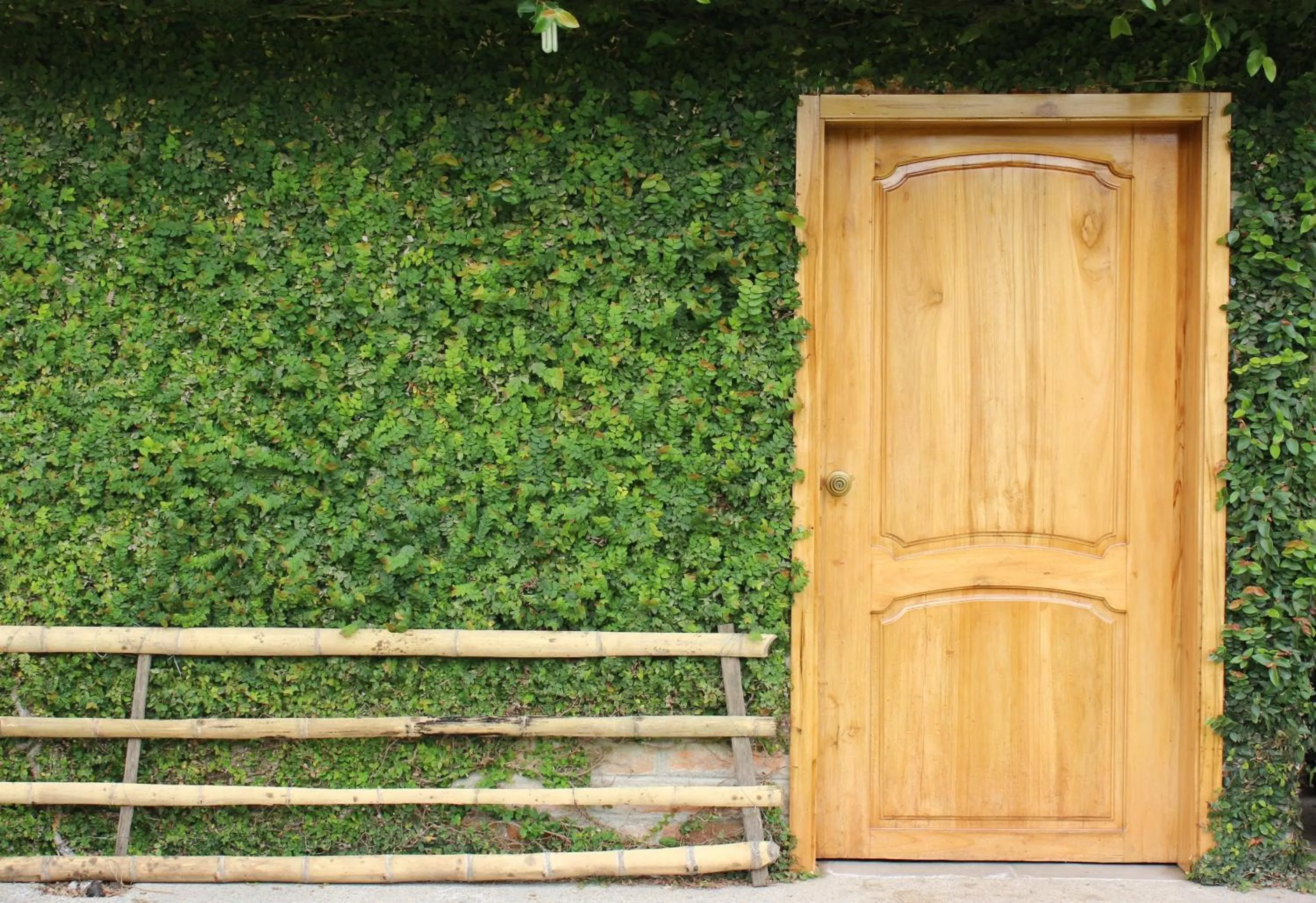 Other in Hosteria Cananvalle