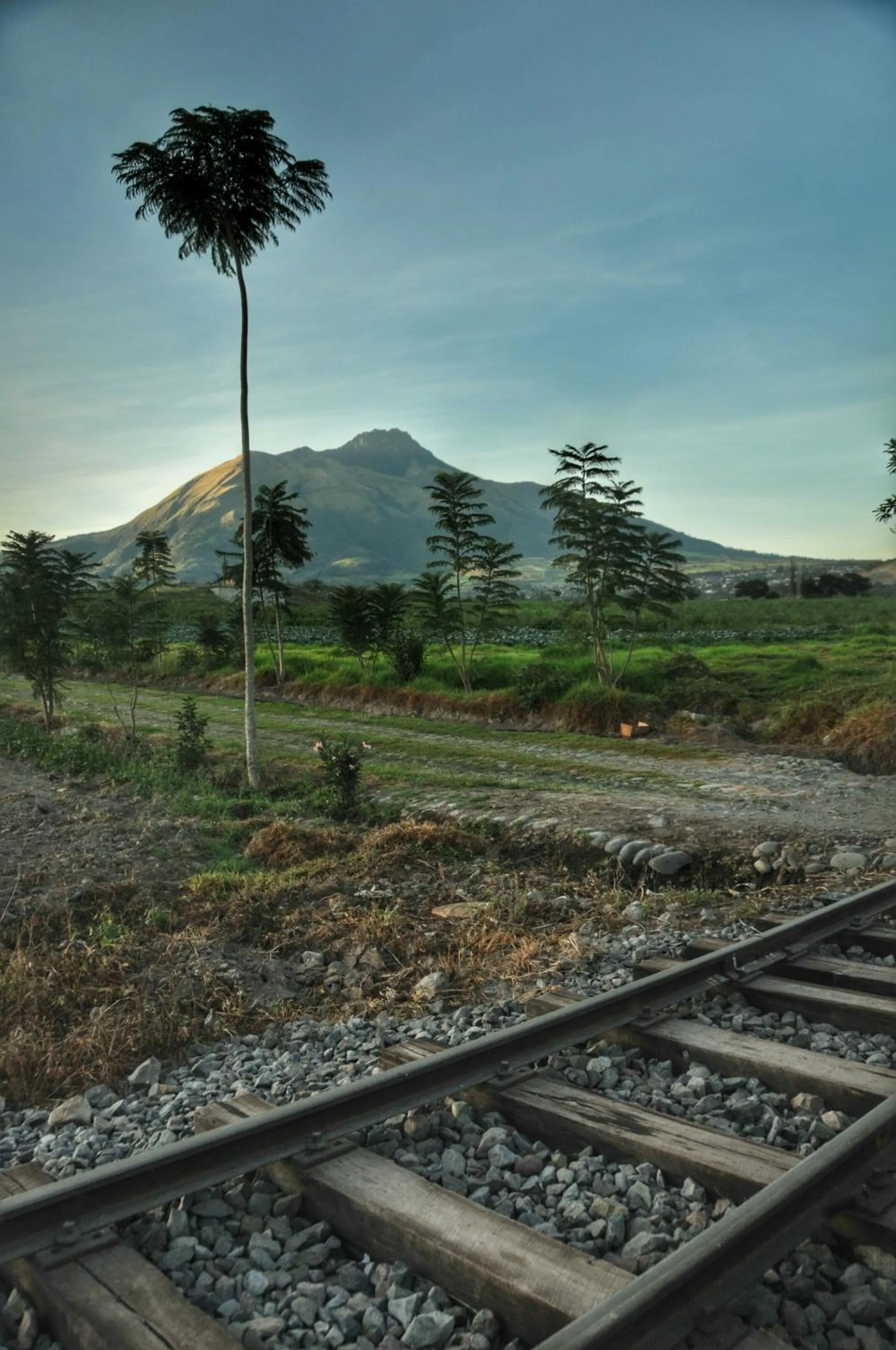 Area and facilities in Hosteria Cananvalle