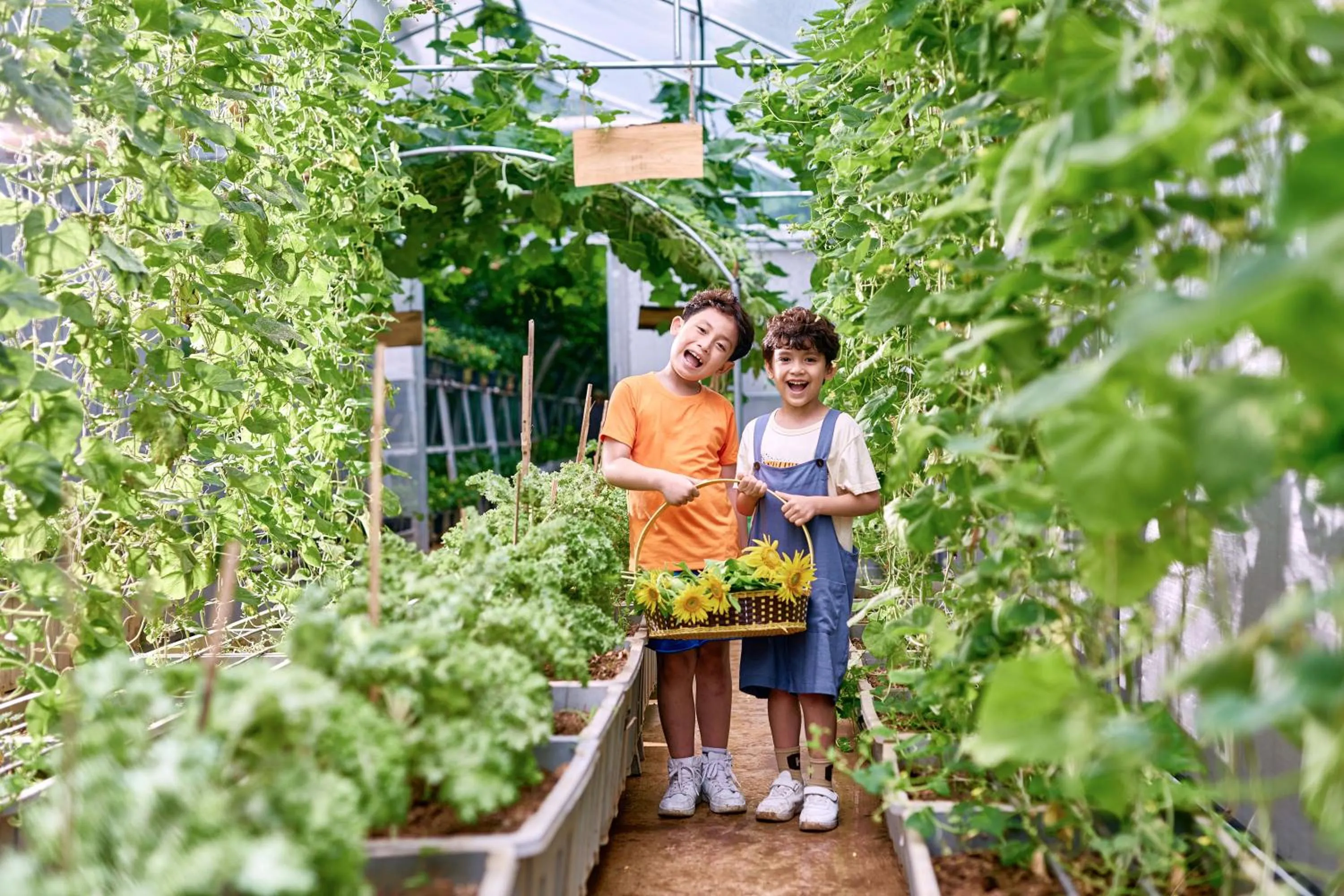 Garden in Flamingo Resort Dai Lai