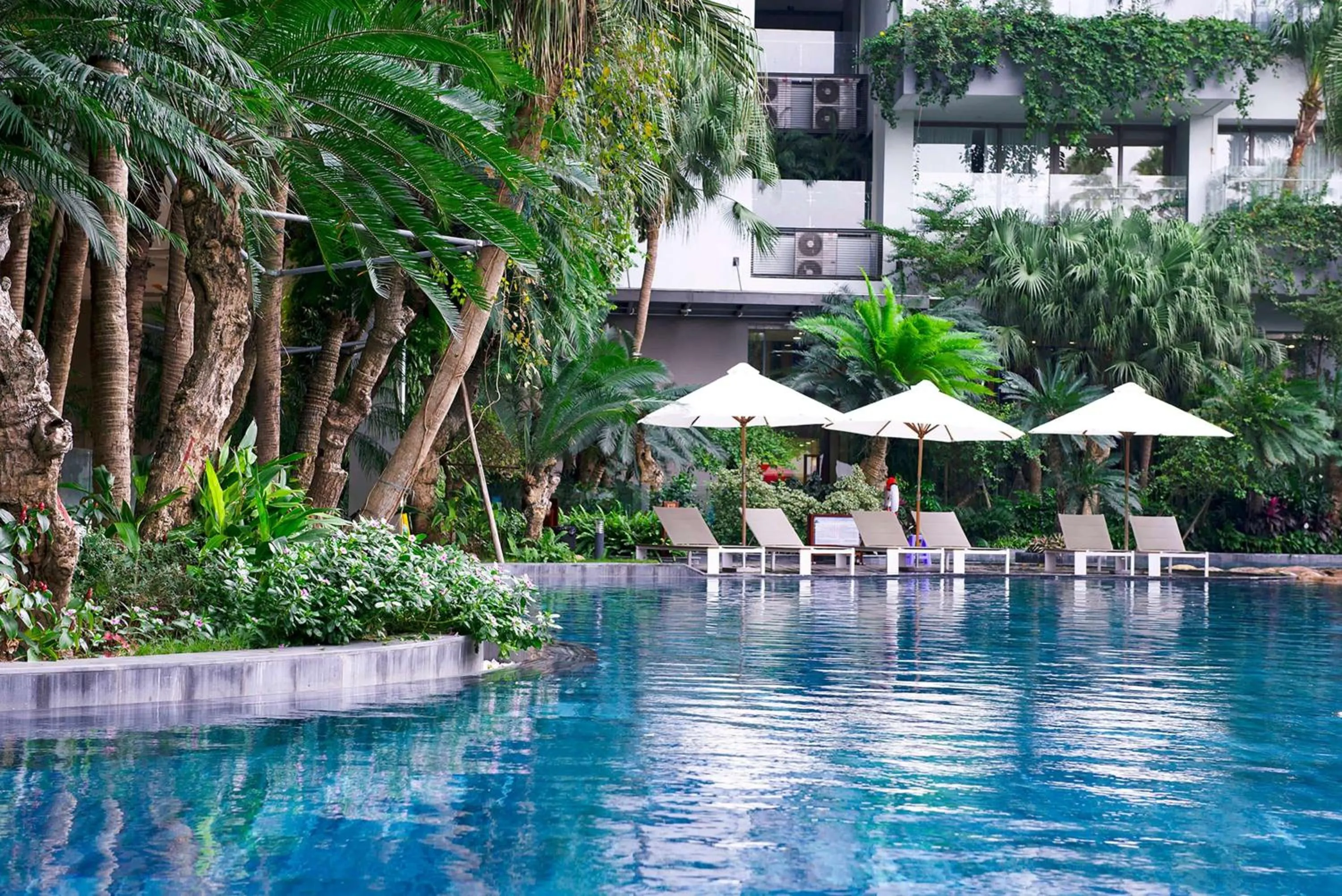 Lounge or bar in Flamingo Resort Dai Lai