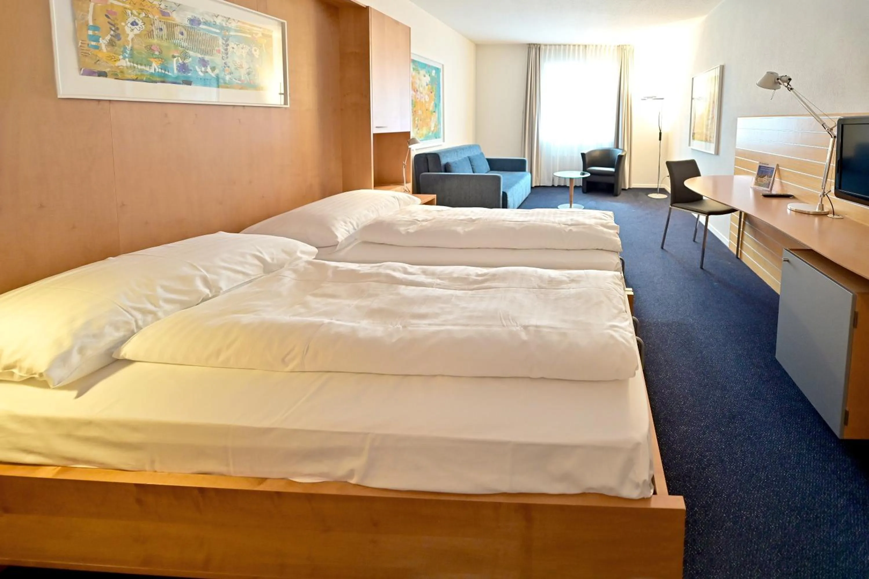 Comfort Double Room - single occupancy in Hotel Zofingen