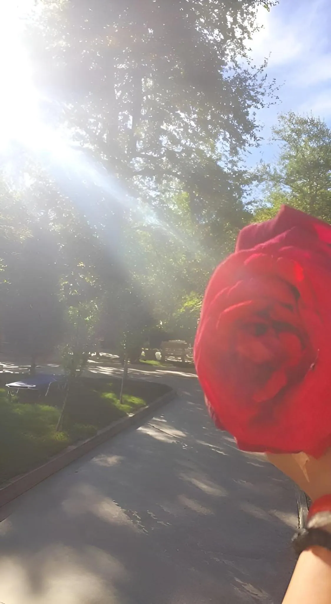 Property building in Family Hotel Delta