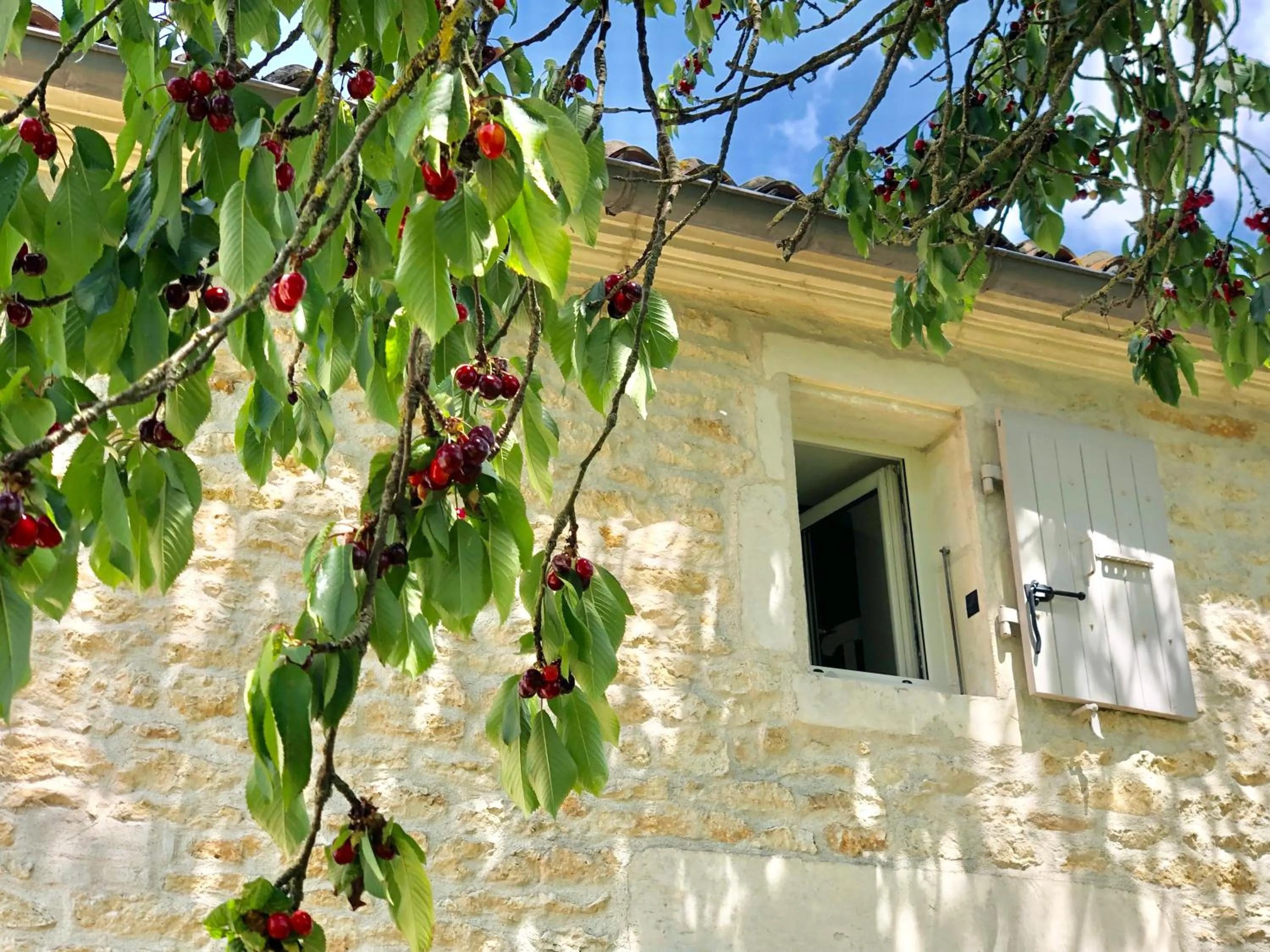 Other in Du Côté de l'Ombrière