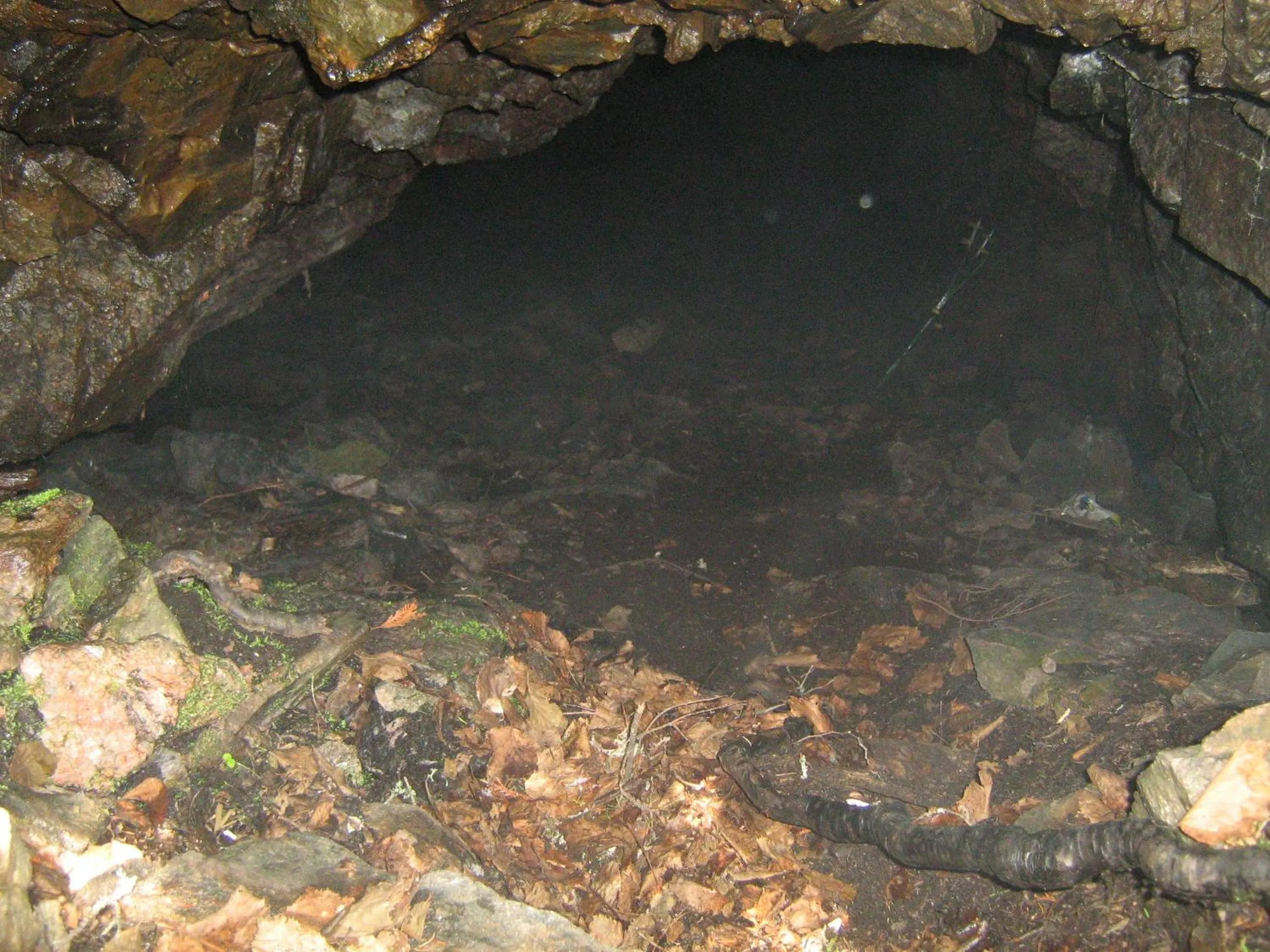 Other in Motel la Maison de Travers