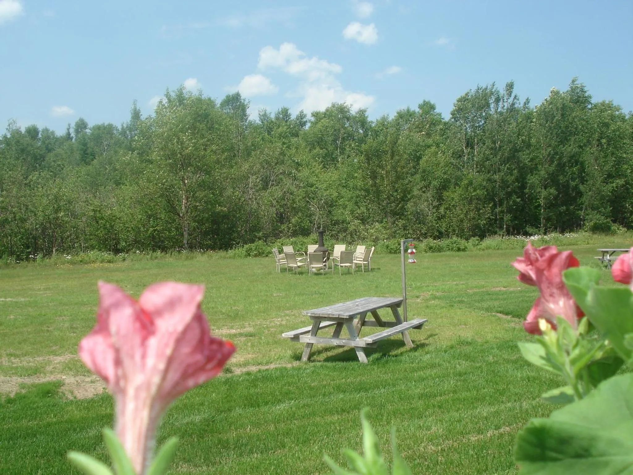 Garden in Motel la Maison de Travers