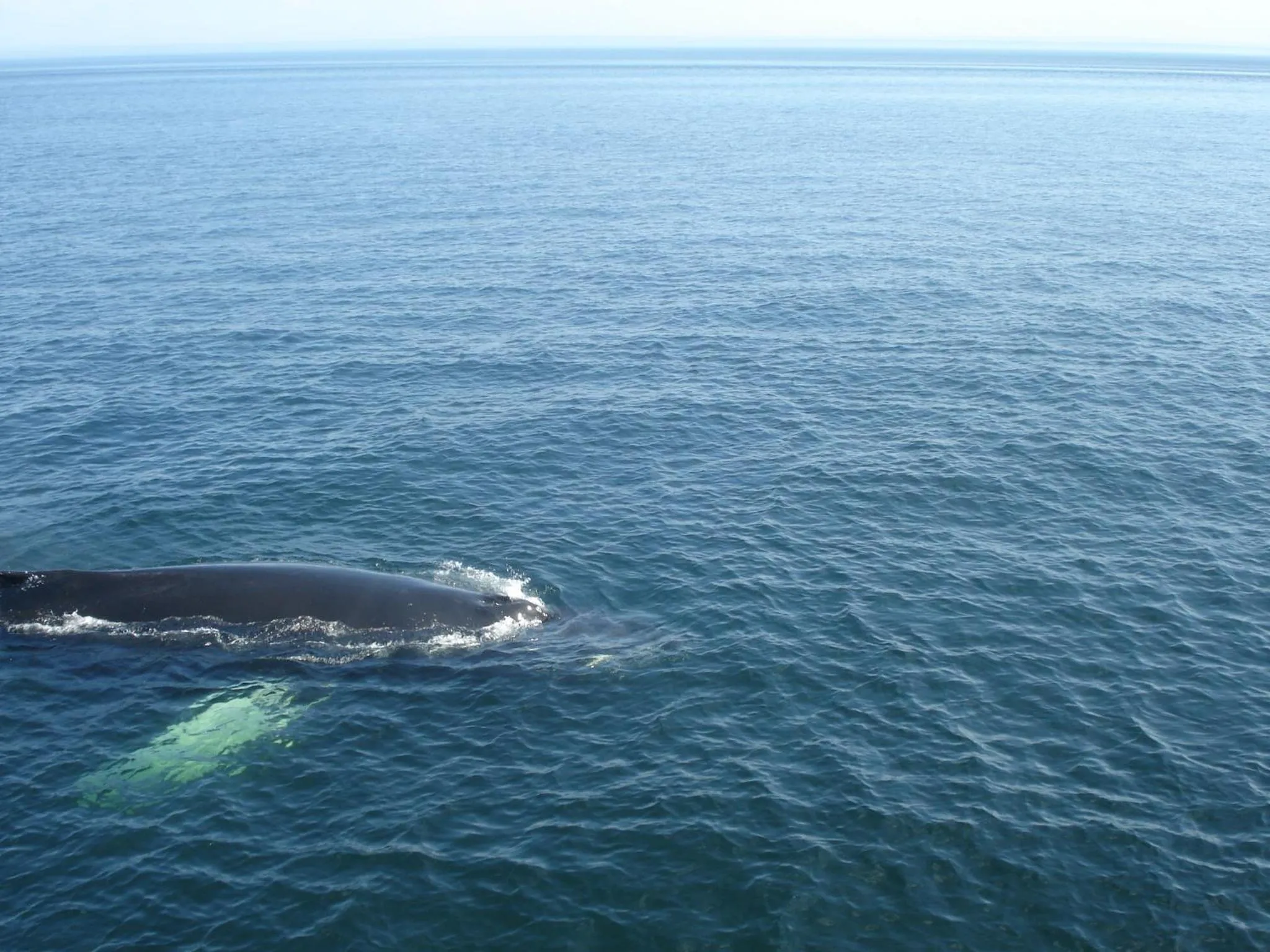 Day in Motel la Maison de Travers