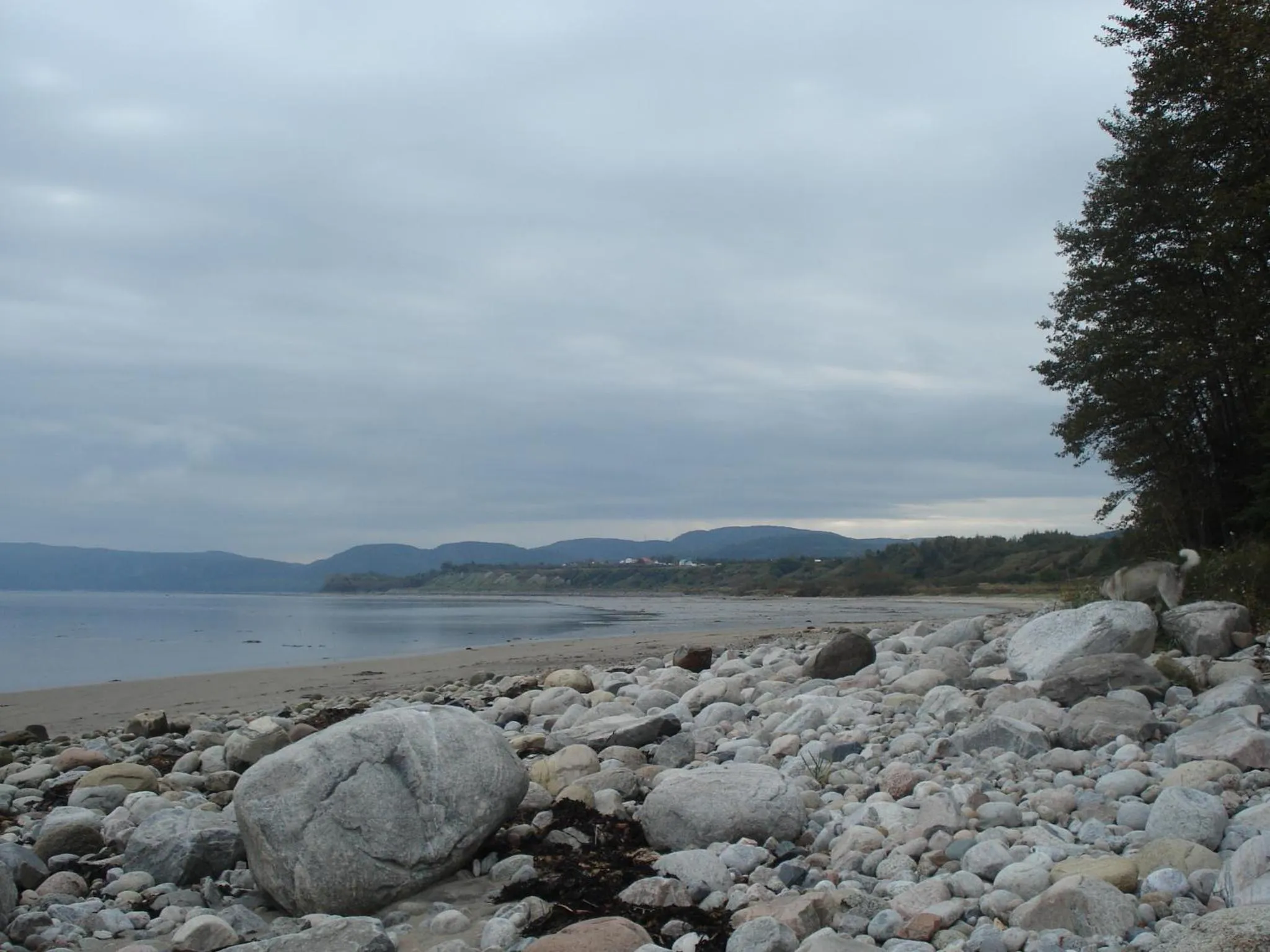 View (from property/room) in Motel la Maison de Travers