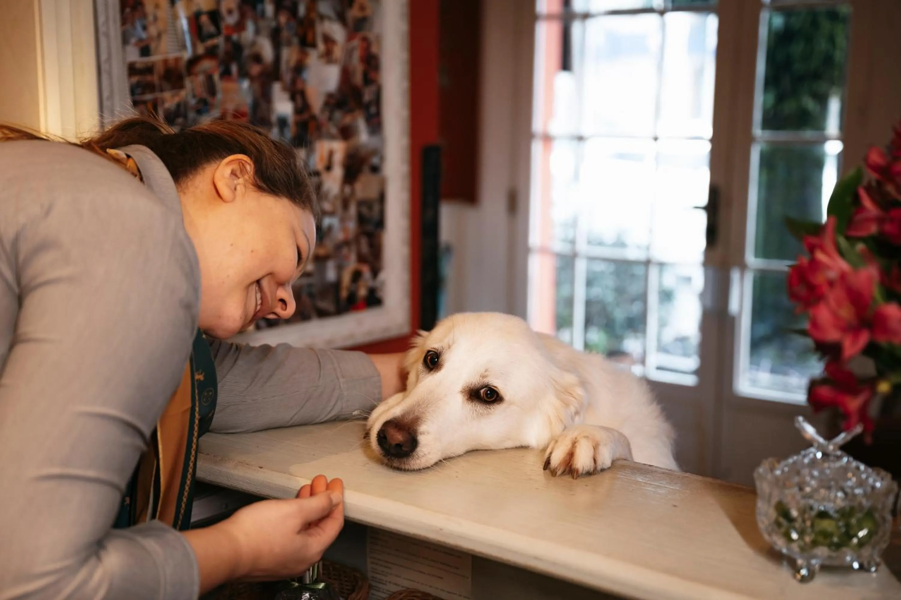 Pets in Petit Casa da Montanha