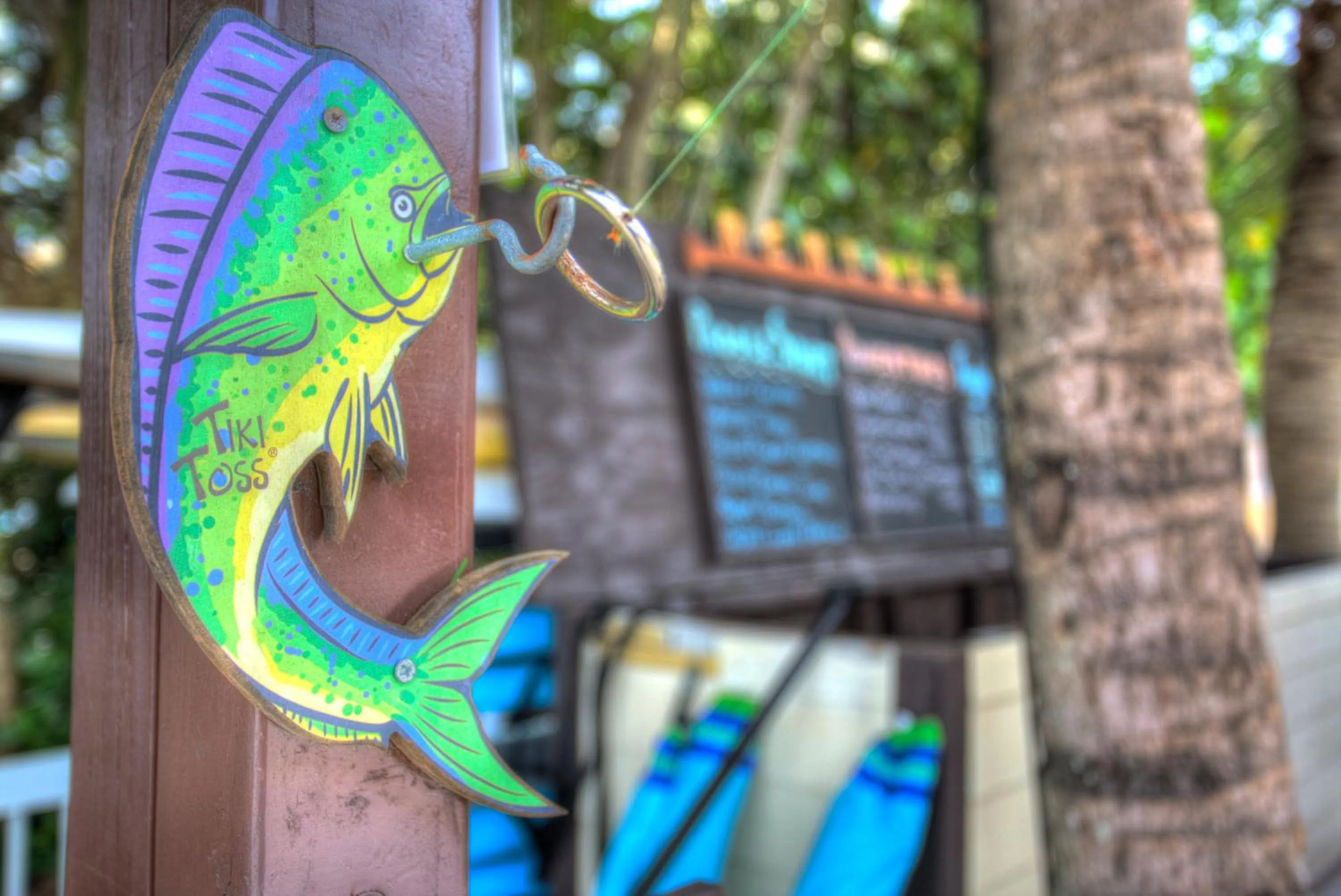 Sports in Vanderbilt Beach Resort