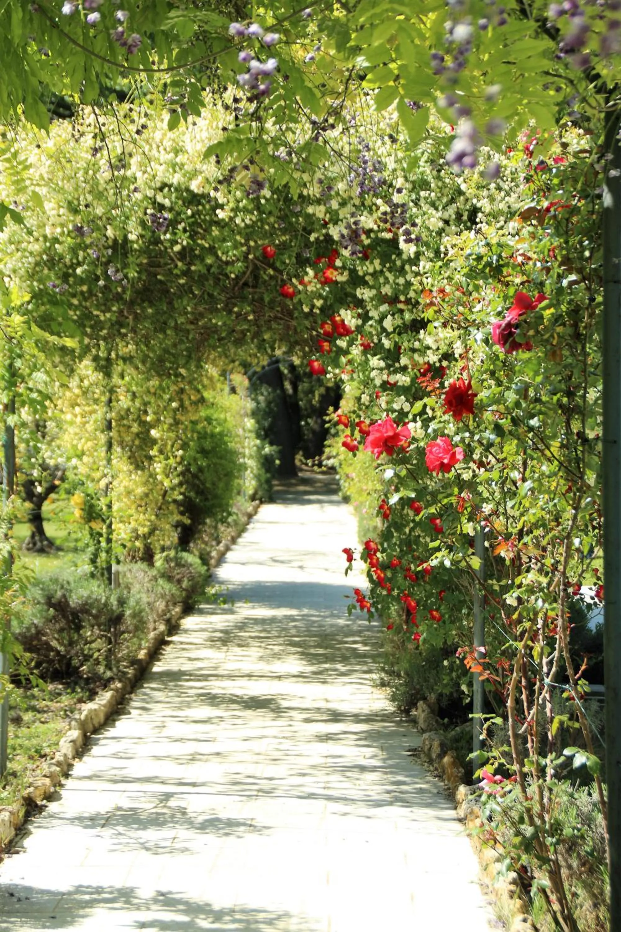 Garden in La Bastide Du Bois Breant