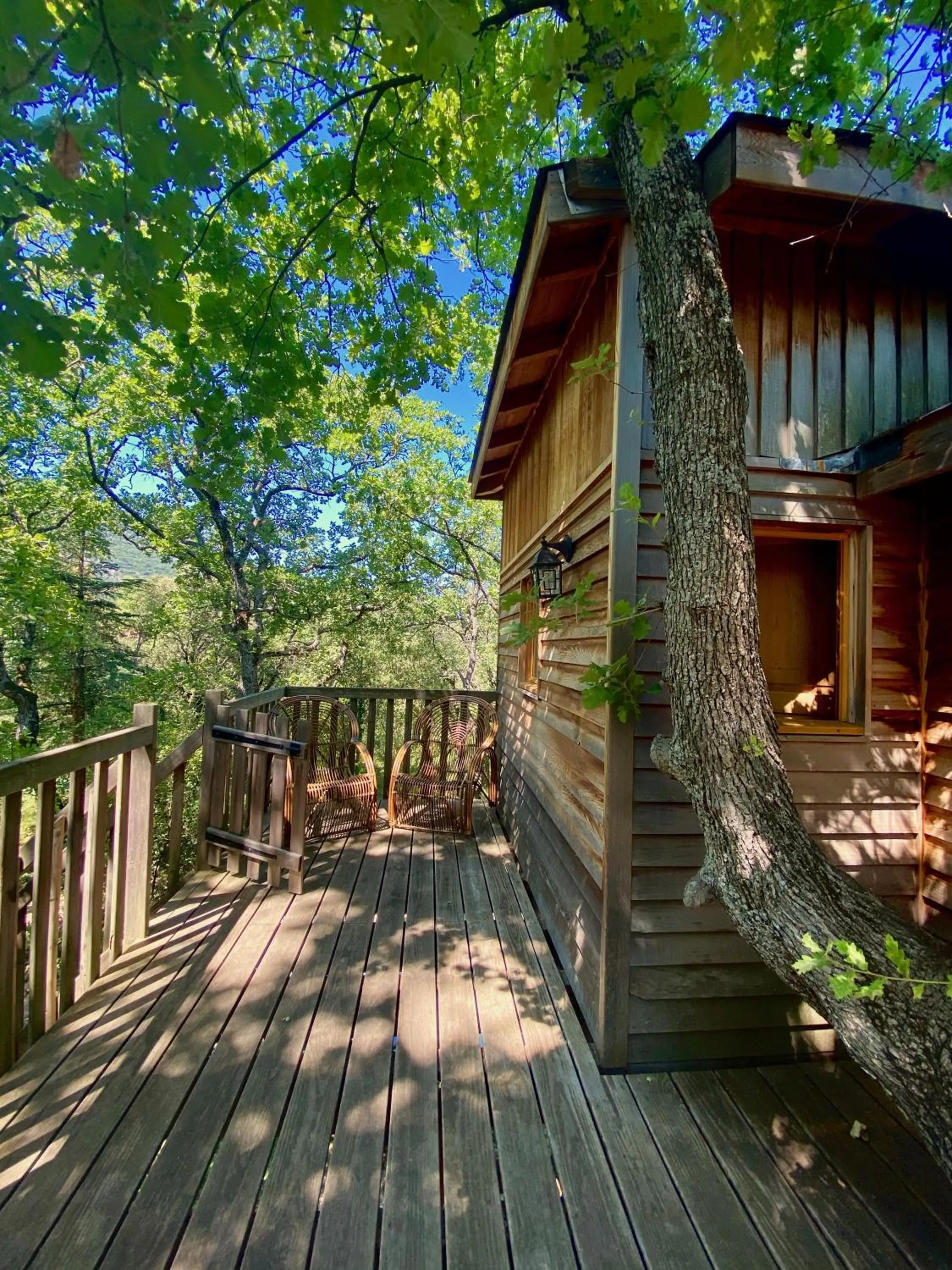 Patio in La Bastide Du Bois Breant