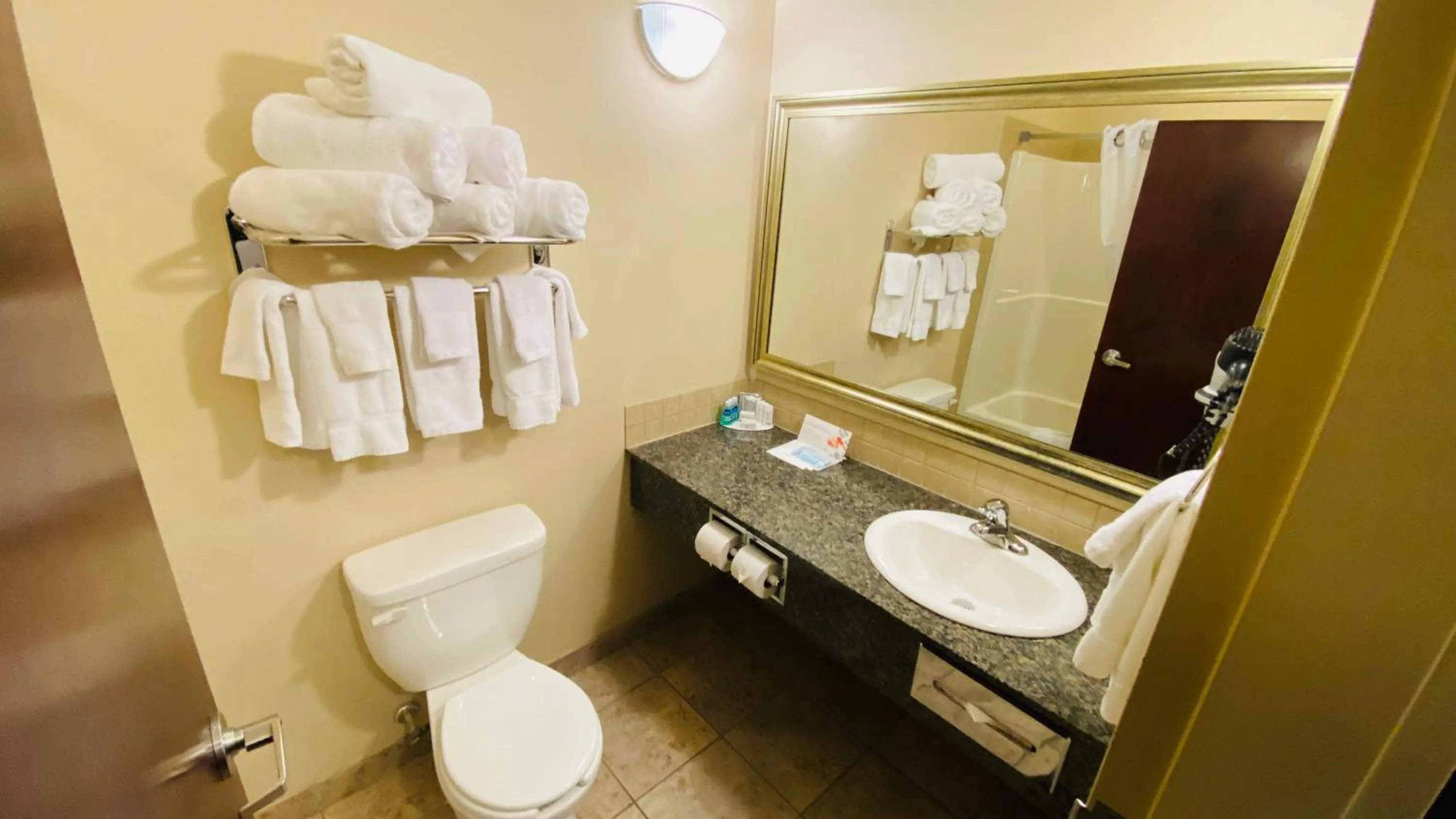 Toilet in Ramada by Wyndham Westlock