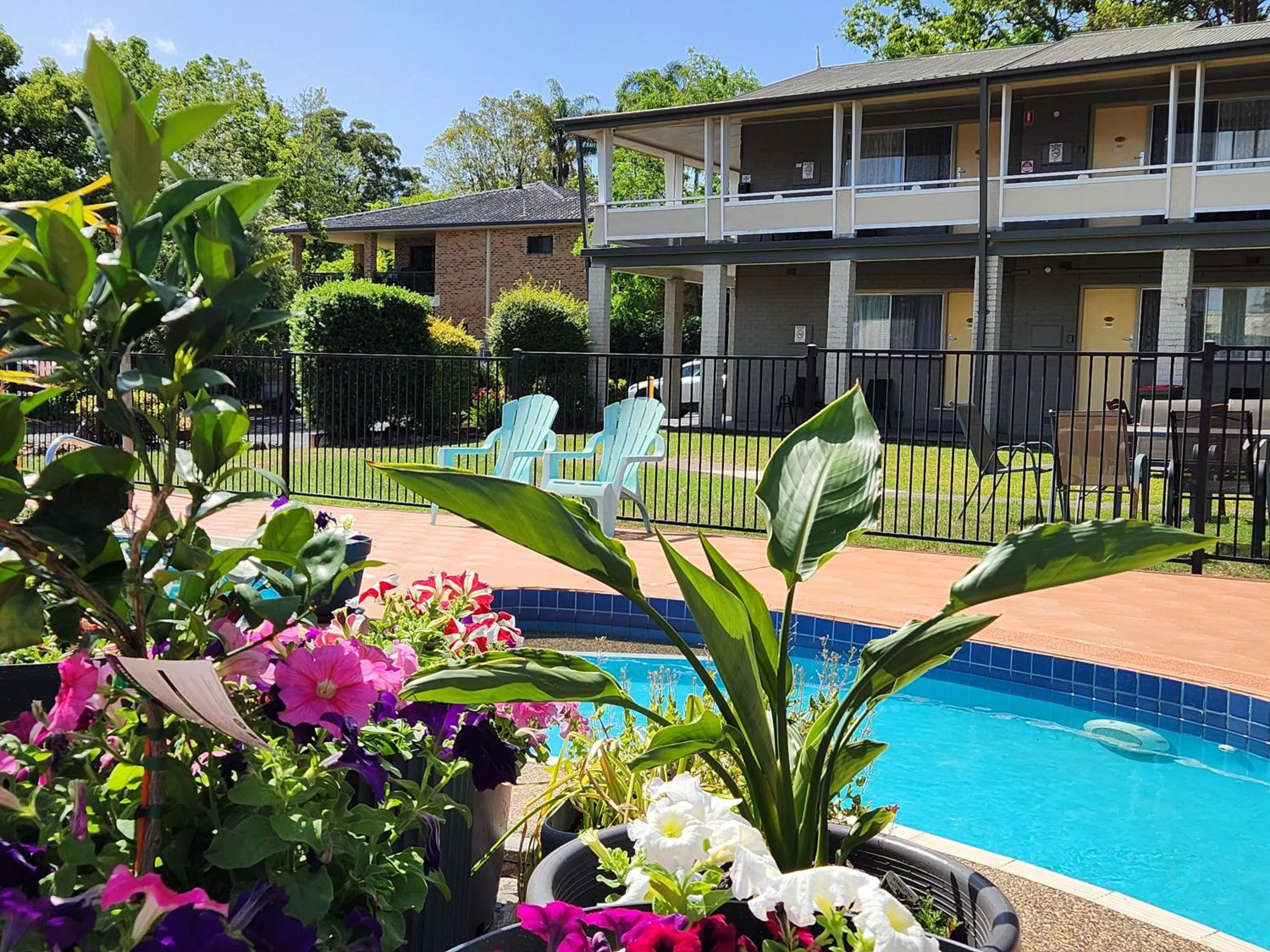 Swimming pool in Bucketts Way Motel Gloucester