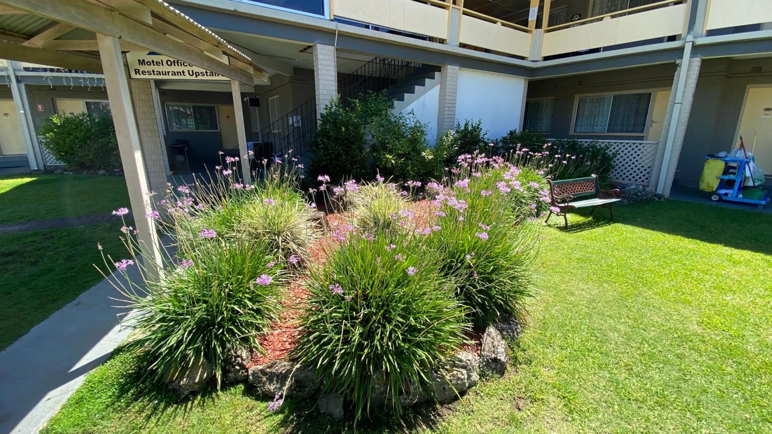 Garden view in Bucketts Way Motel Gloucester