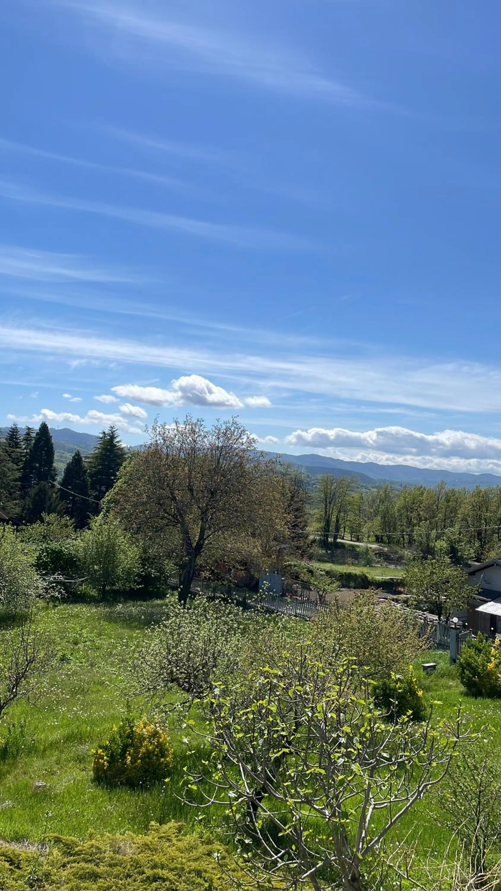 Casa T Bed and Breakfast & Home Restaurant di Tacchino Simone